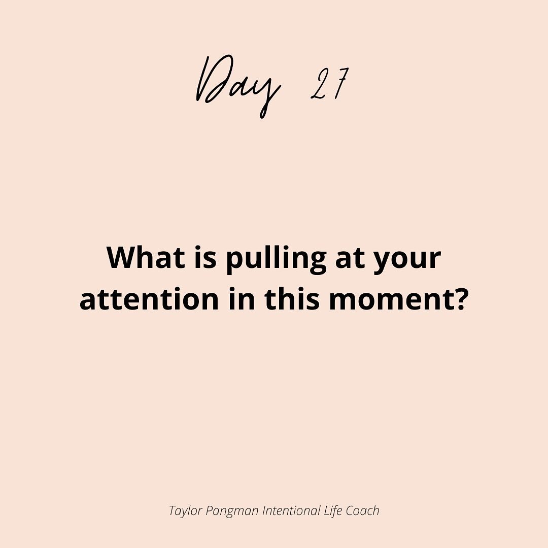 day 27 - i had a random thought today, if i could actually document every thought i have during the day in a long running list, then look back and see how random and jumpy they can be, i bet it would be a very boring thing to read. imagine watching a