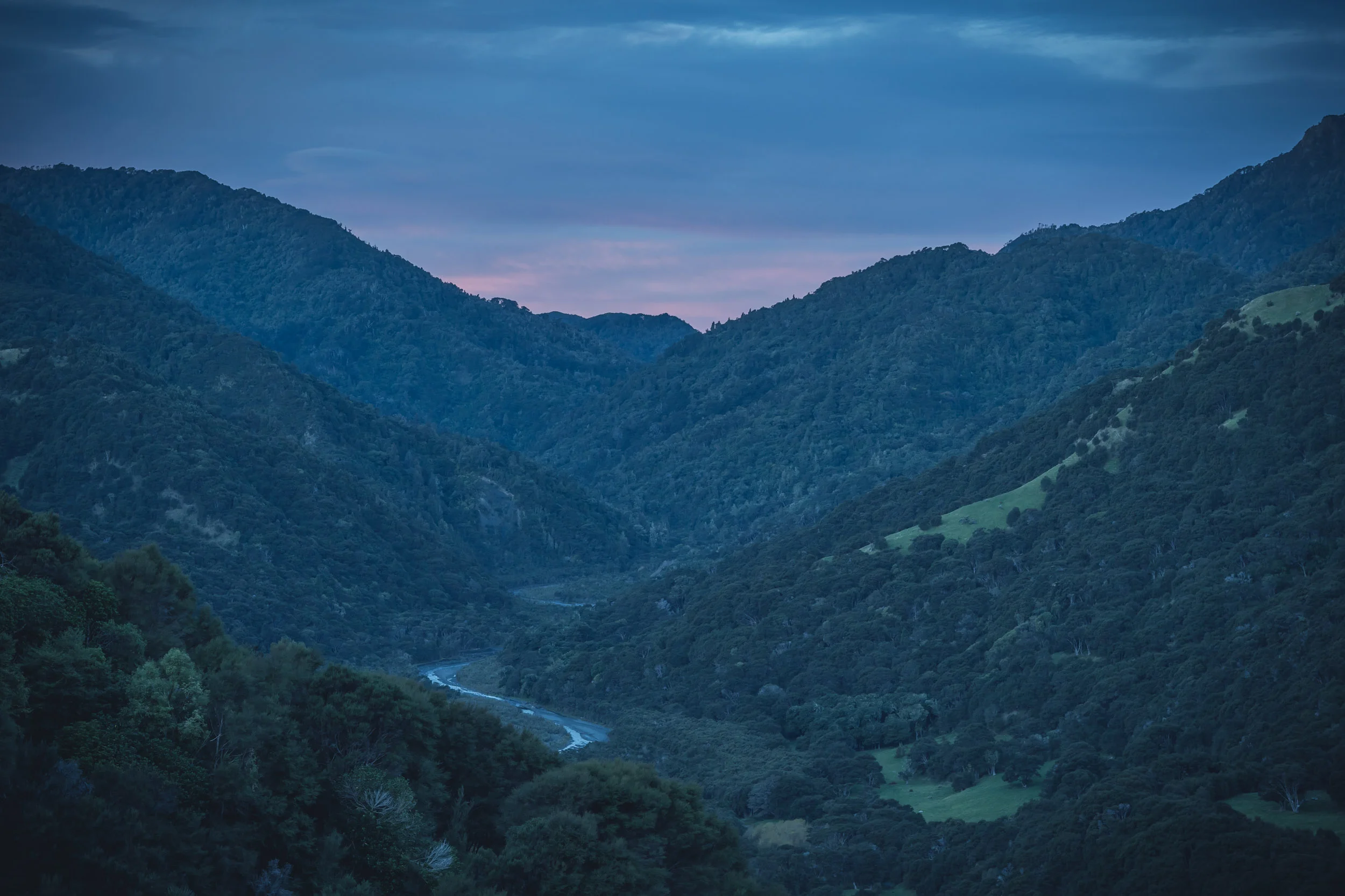 Gallery — — Kawakawa Station