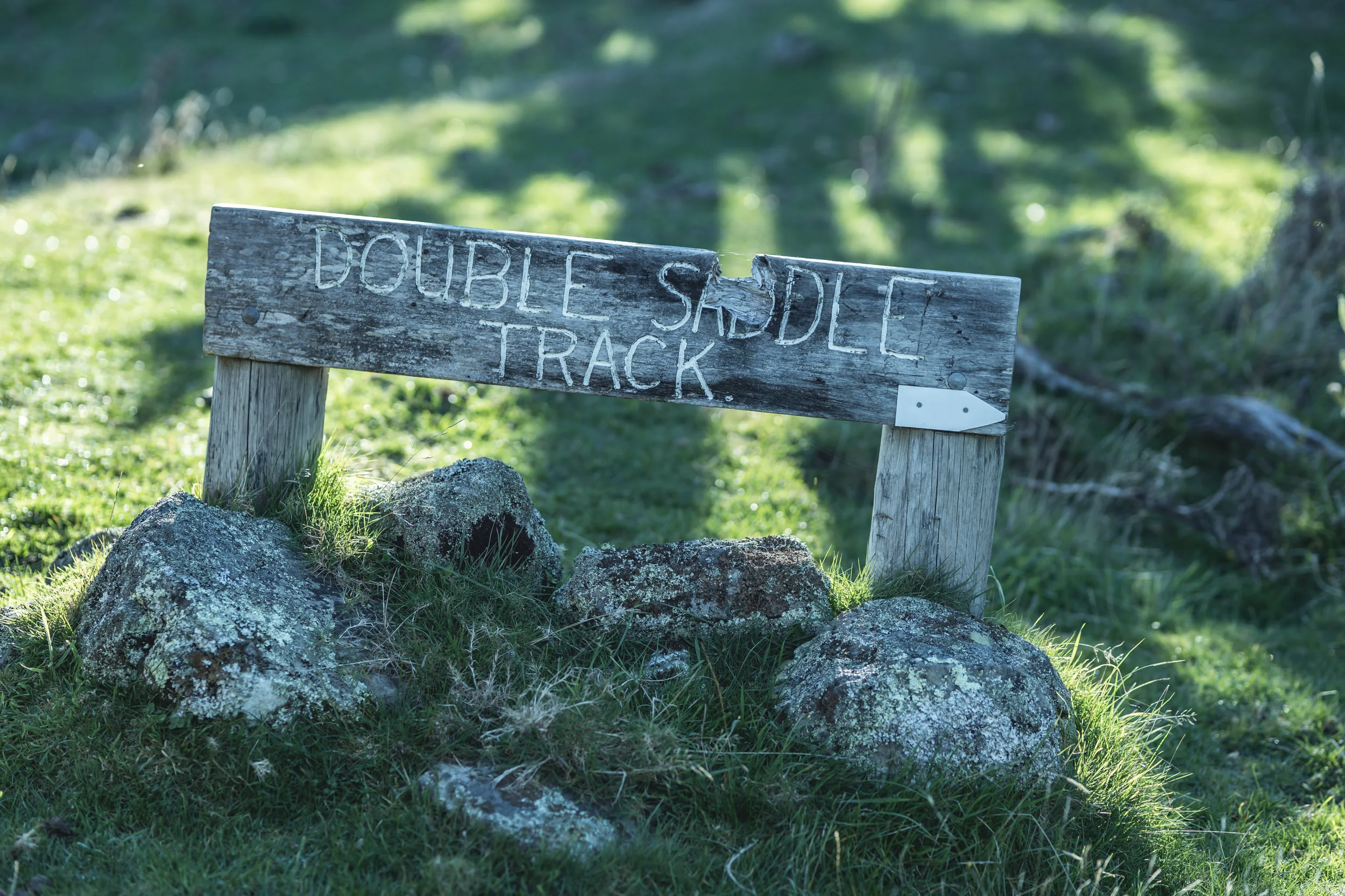 Gallery — — Kawakawa Station