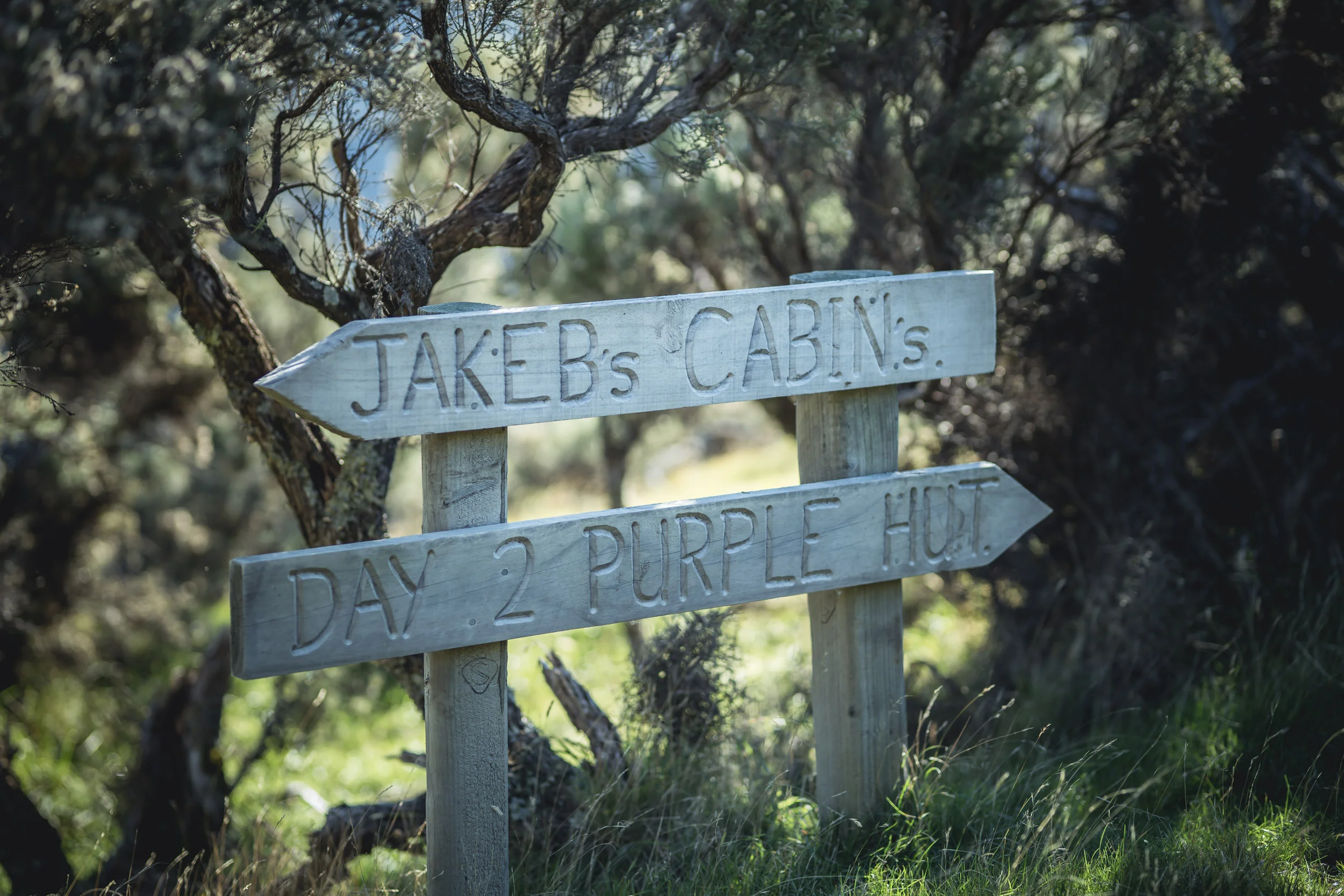 Gallery — — Kawakawa Station