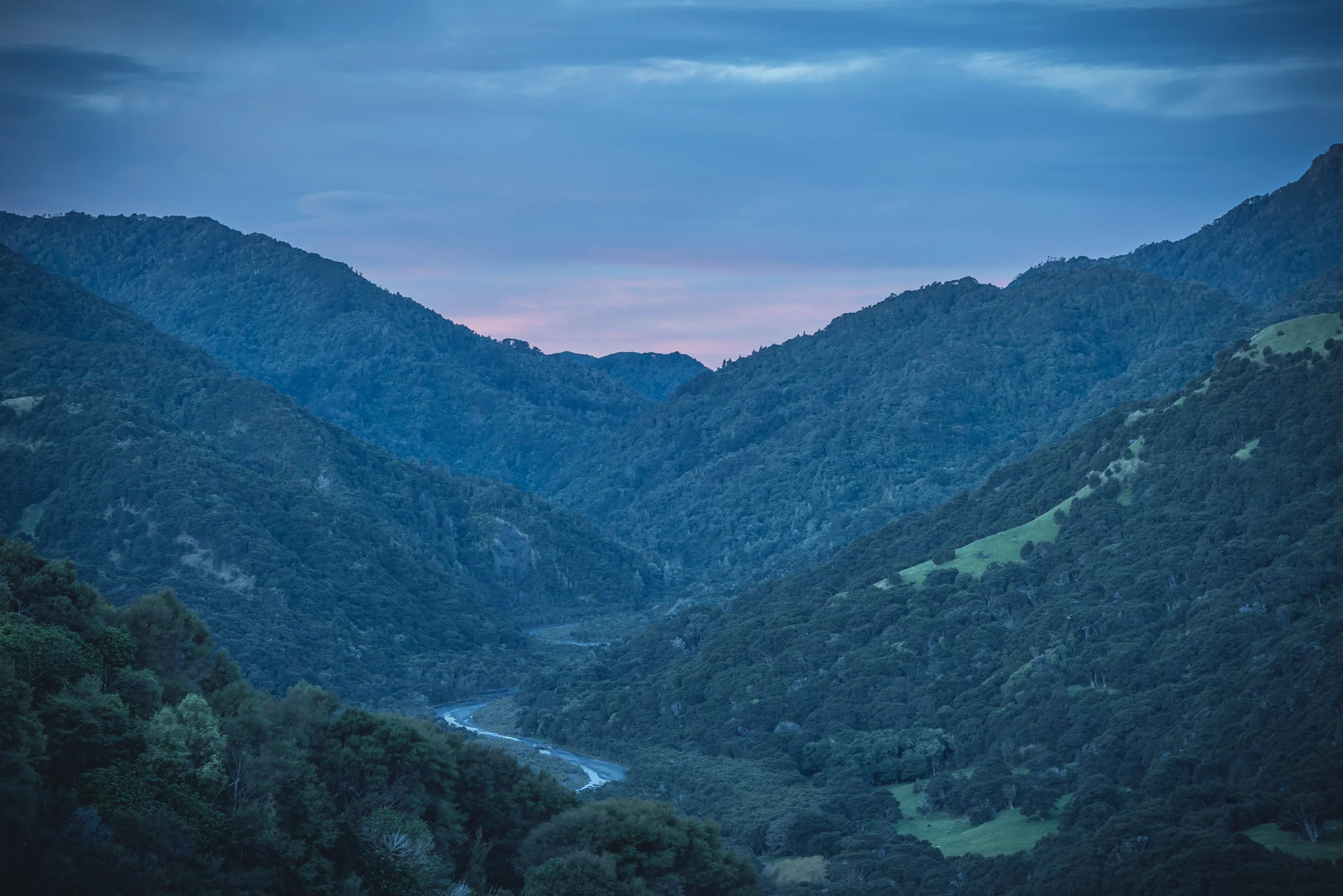 Gallery — — Kawakawa Station