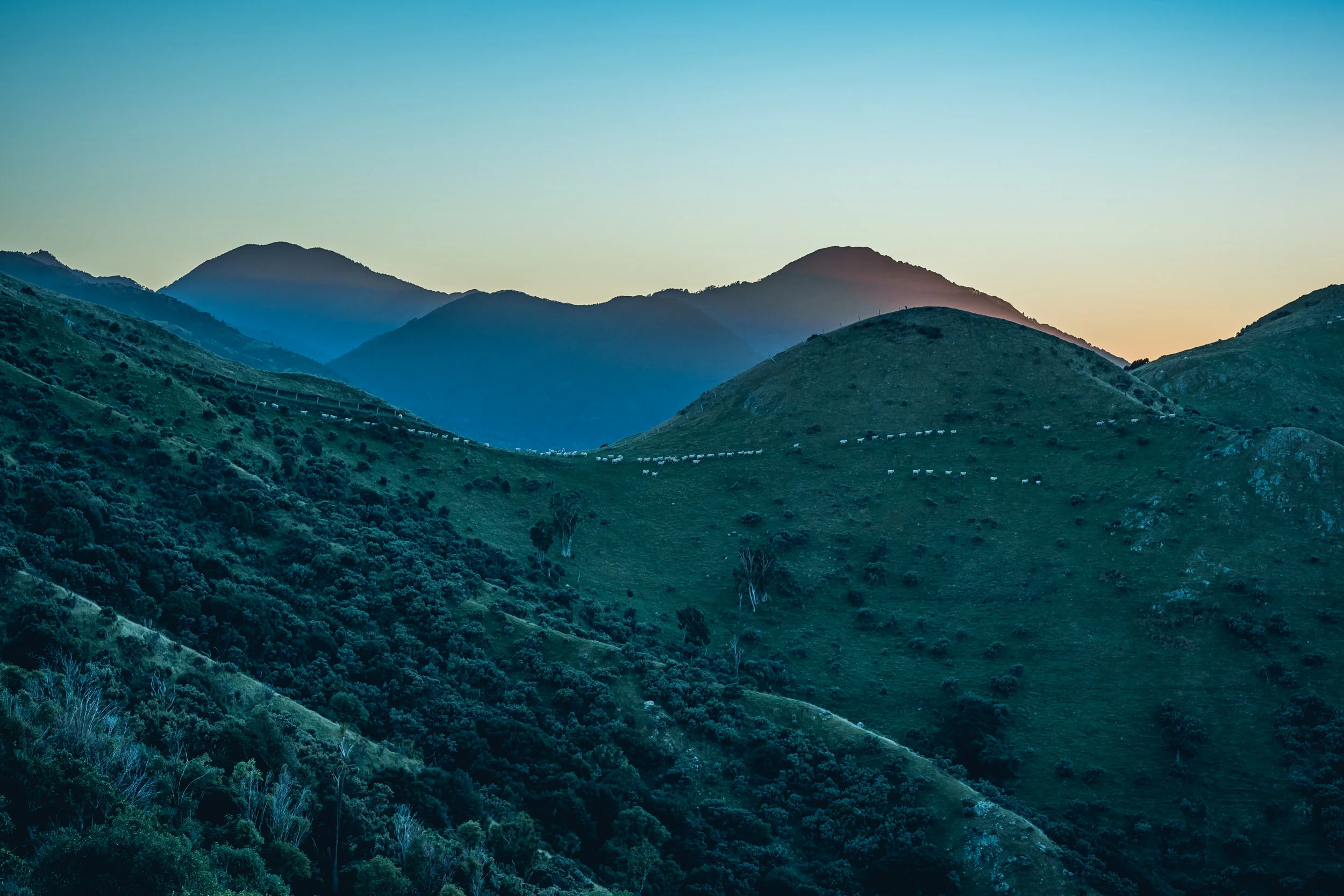 Gallery — — Kawakawa Station