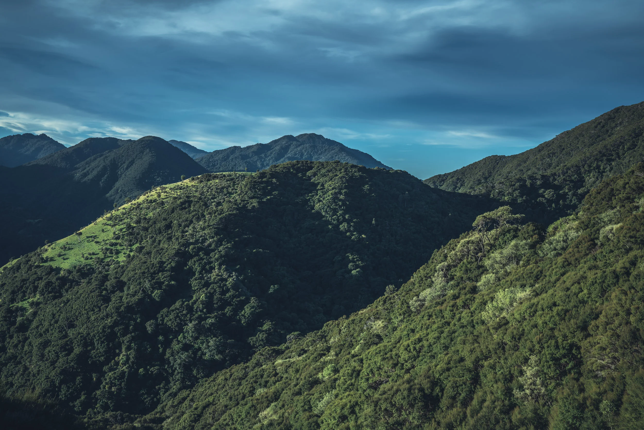 Gallery — — Kawakawa Station