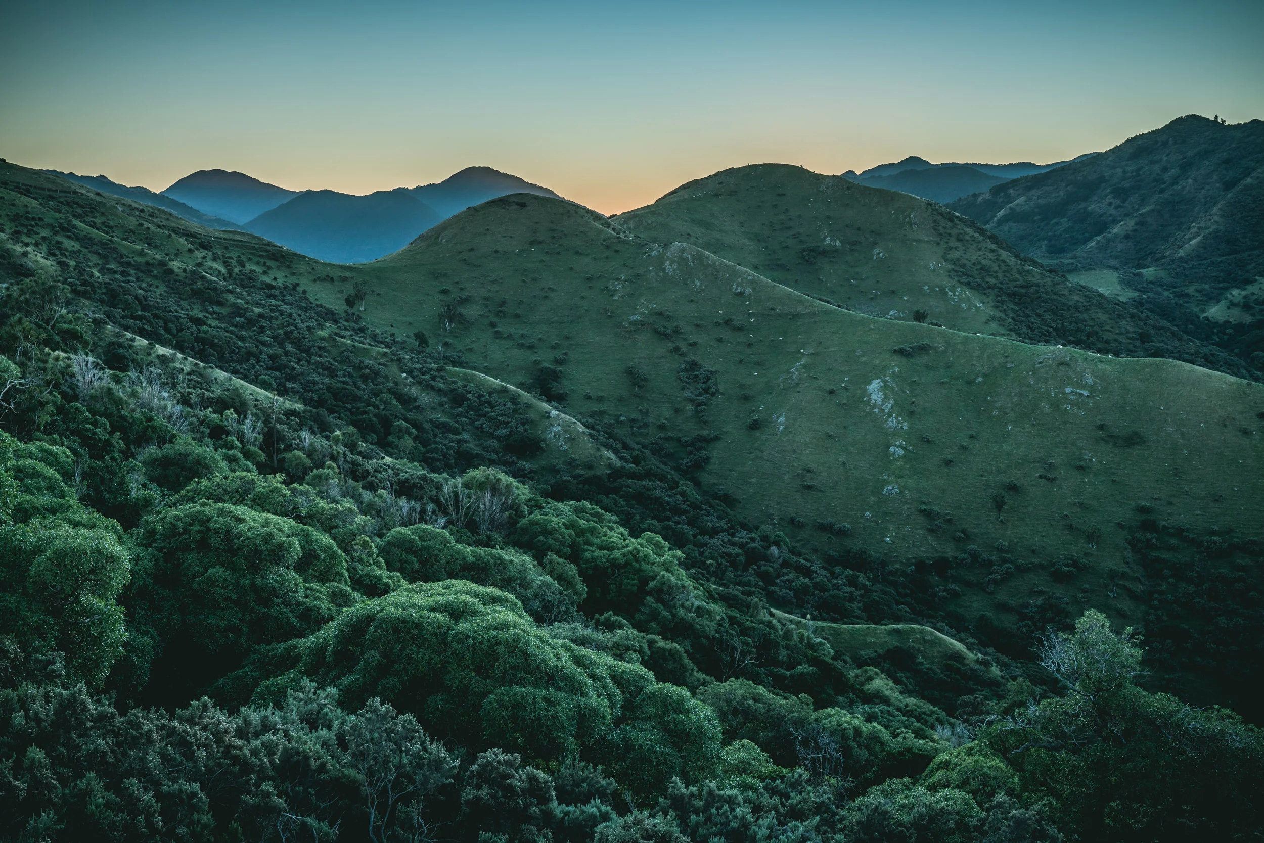 Gallery — — Kawakawa Station