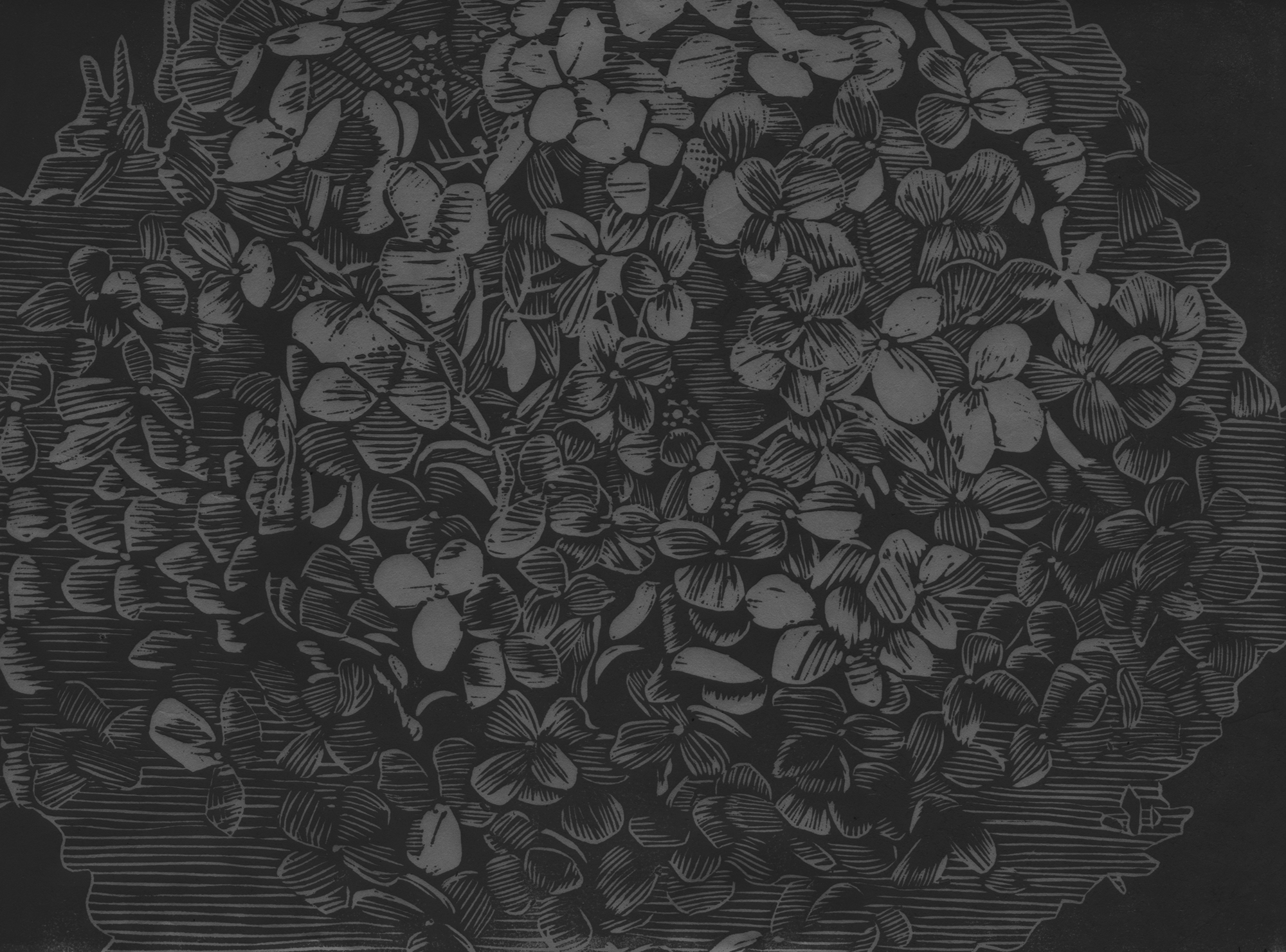 website-background2.png