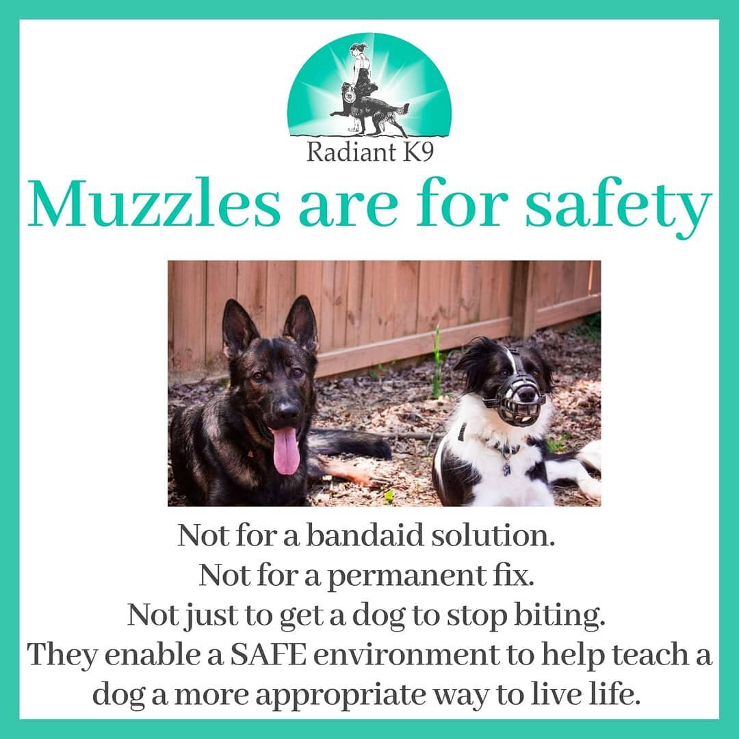MUZZLES ARE FOR SAFETY.

My long term goal when I put a muzzle on a dog, is to get to a point where the dog can safely live without the muzzle (in the majority of circumstances, at least). Just slapping a muzzle on forever will keep you, the dog, and