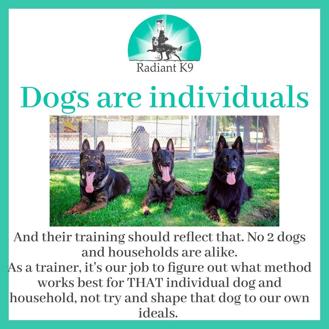 DOGS ARE INDIVIDUALS.

And so are the households they live in! 1 exact method and mindset isn't going to work for every dog or every owner. And it's our jobs as trainers to read and get to know the dog, as well as the owners and what they're looking 