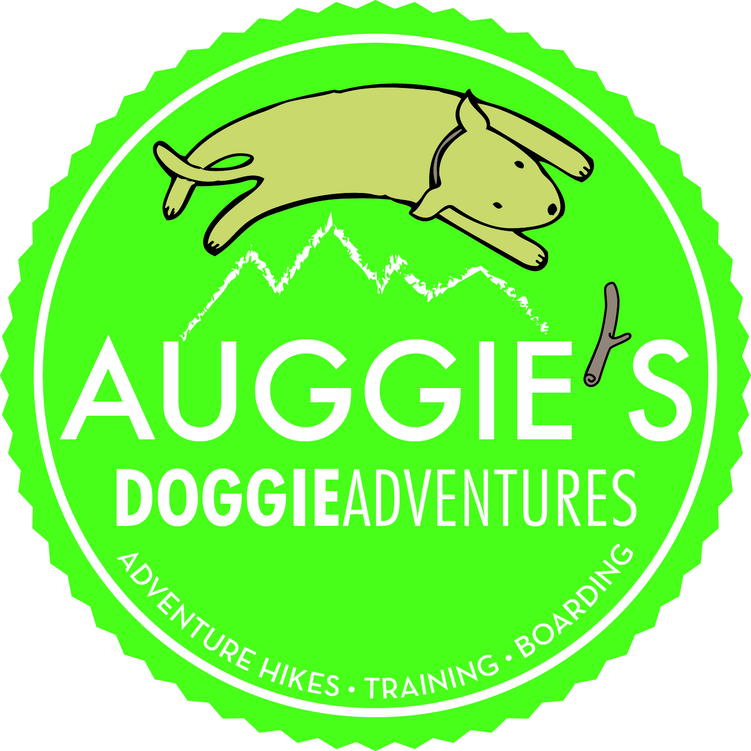 Auggie's Doggie Adventures