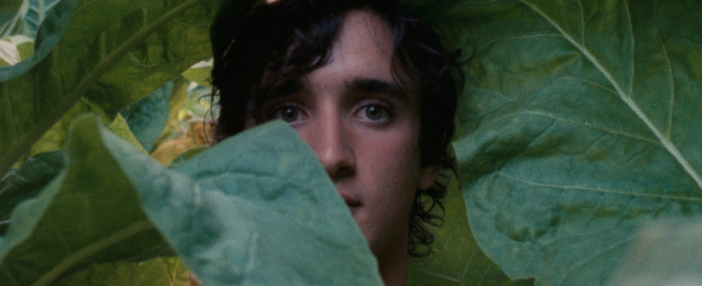  October 28, 2018  IndieWire:  How ‘Happy as Lazzaro’ and ‘In My Room’ Breathe New Life Into the Time Travel Trope    A pair of inventive films twist the time travel trope into compelling new shapes that turn a classic storyline into something revela