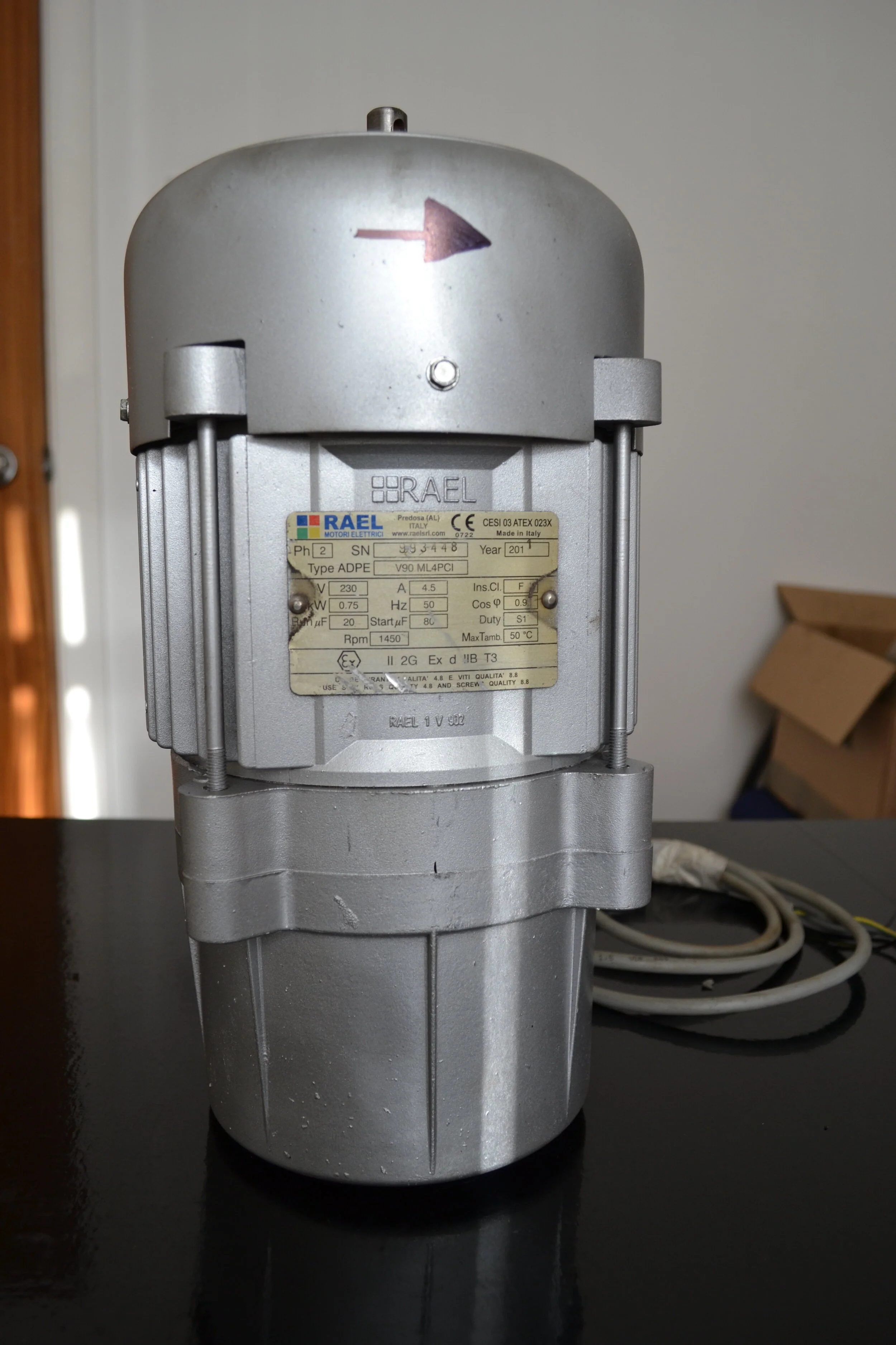 RAEL MOTOR.JPG