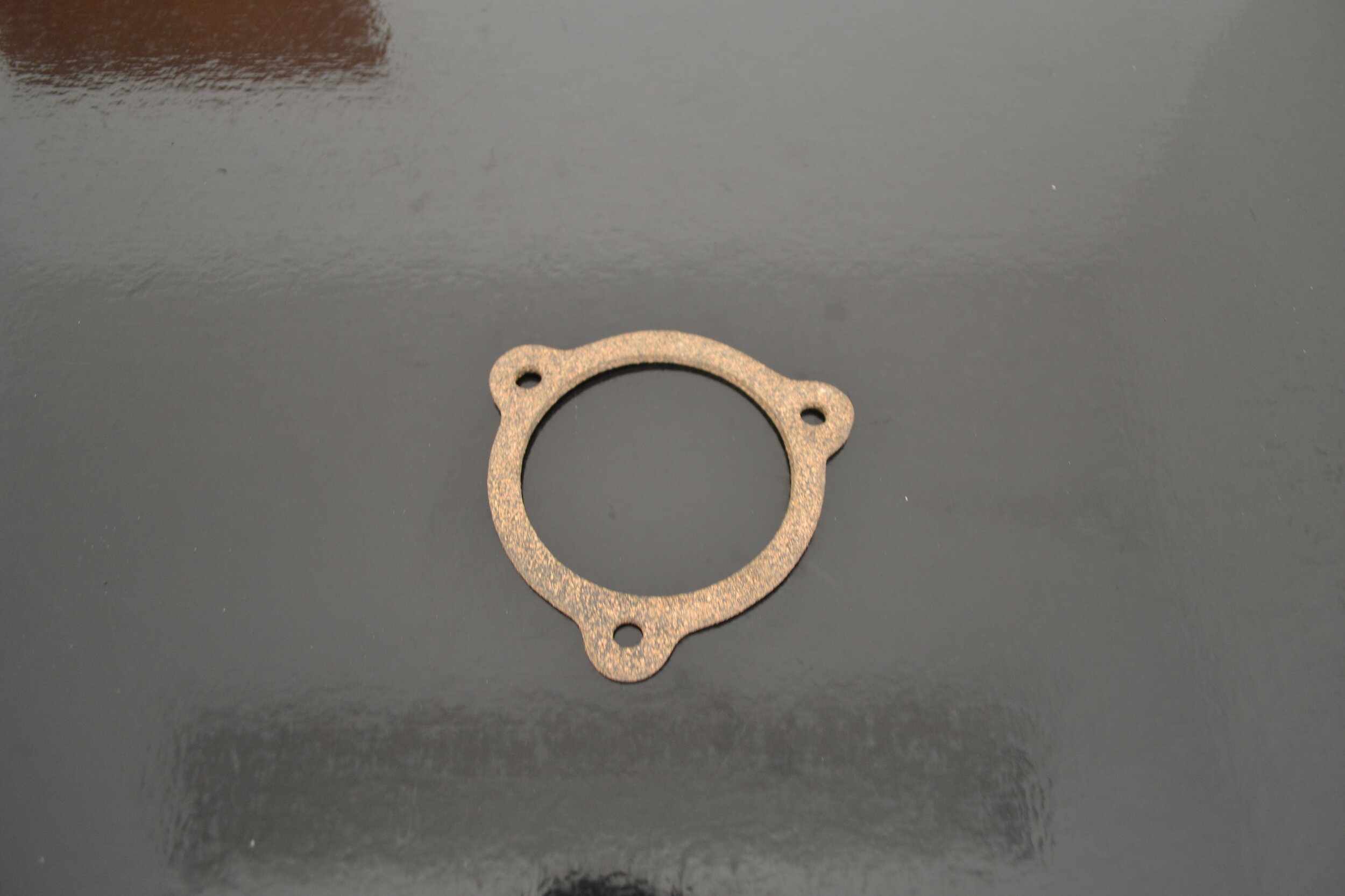 ANGLE CHECK VALVE GASKET.JPG