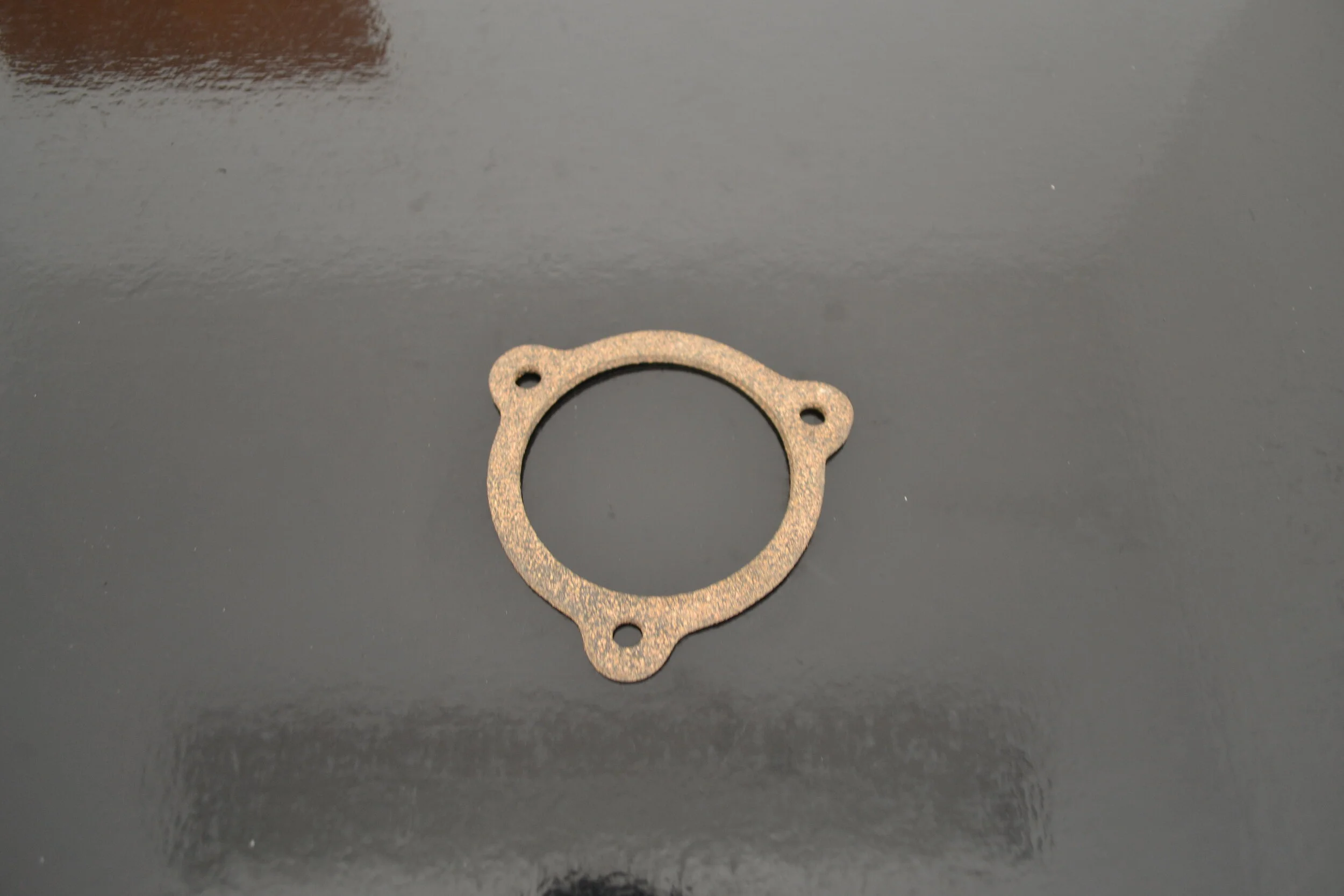 ANGLE CHECK VALVE GASKET