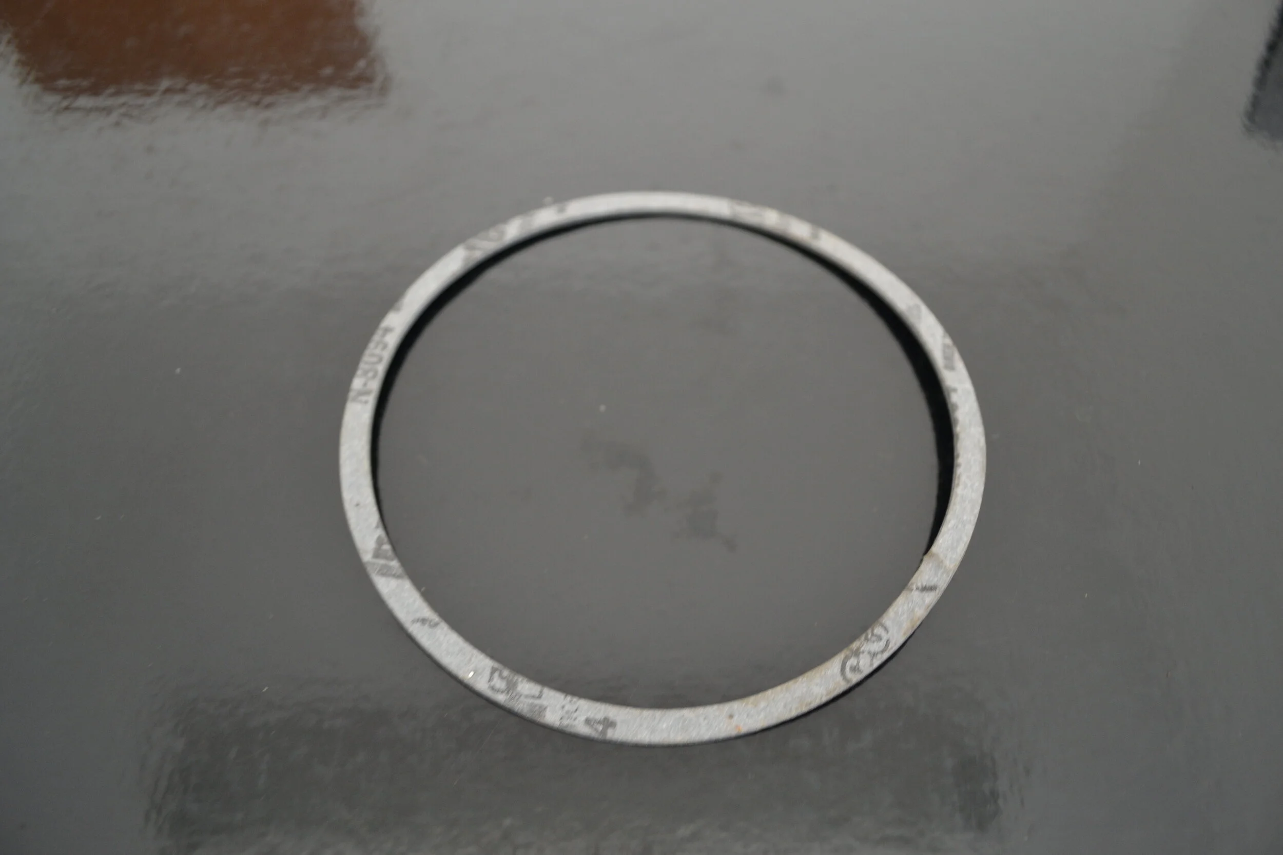 FLOAT GASKET.JPG