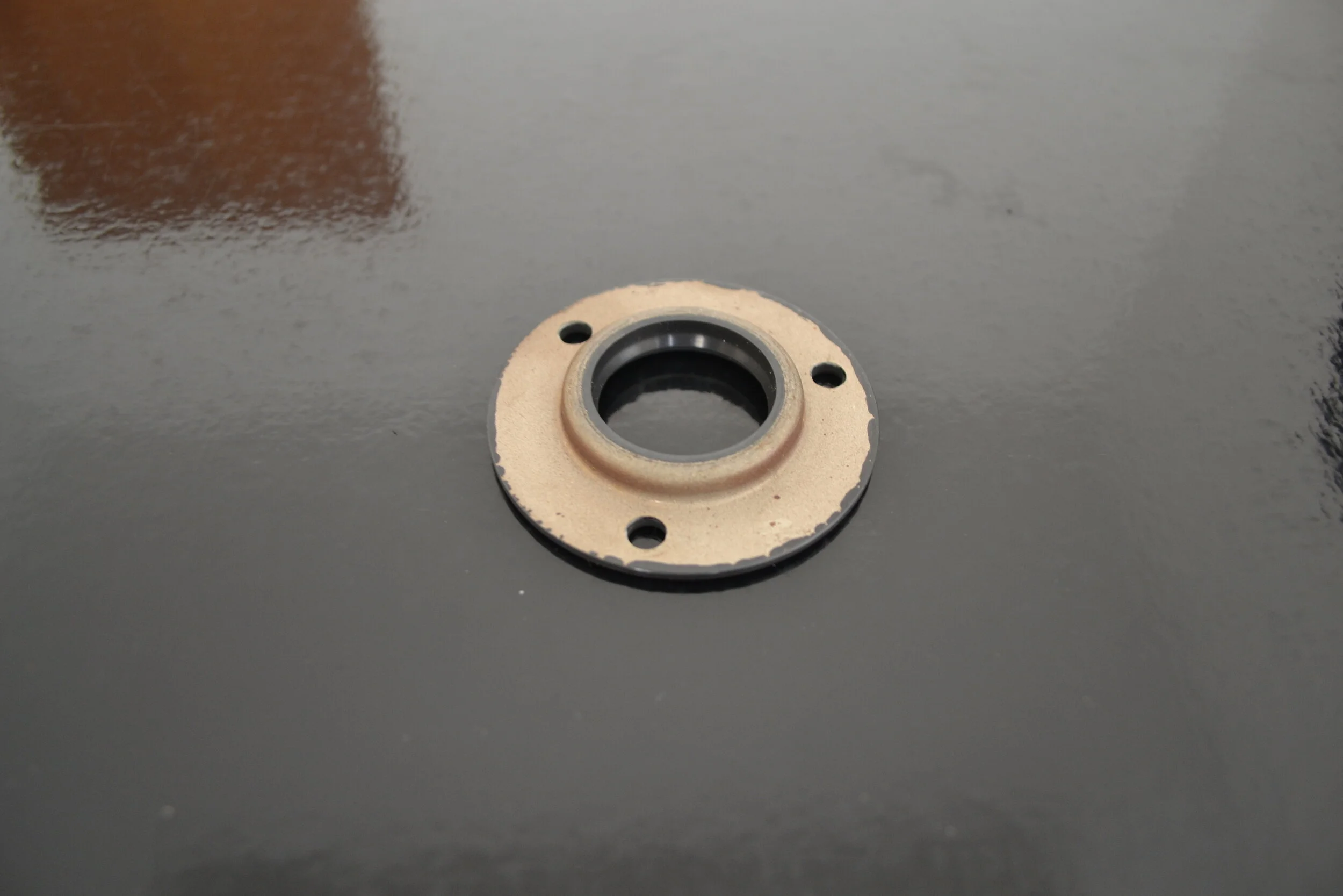 GEROTA LIP SEAL.JPG