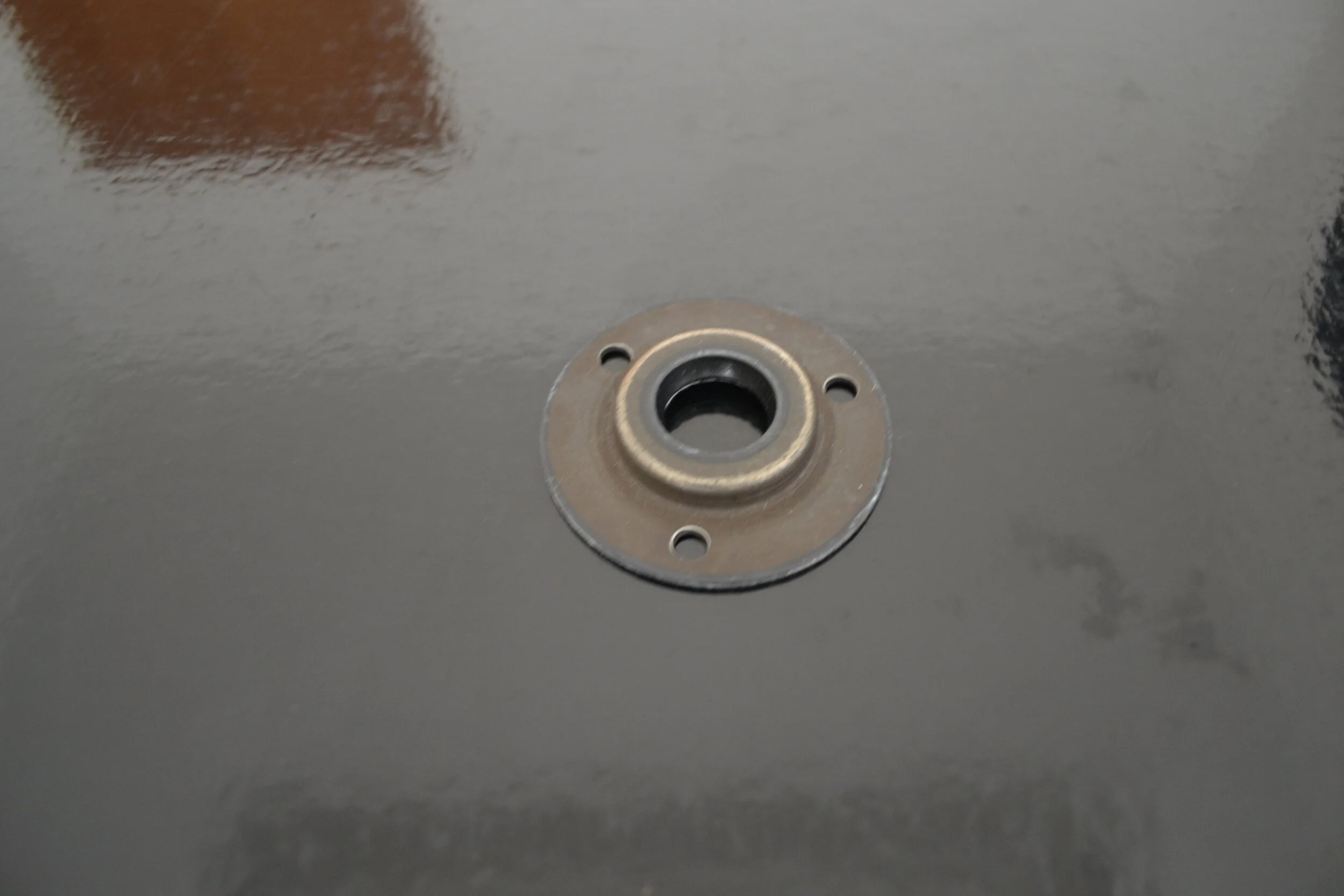 PUS LIP SEAL