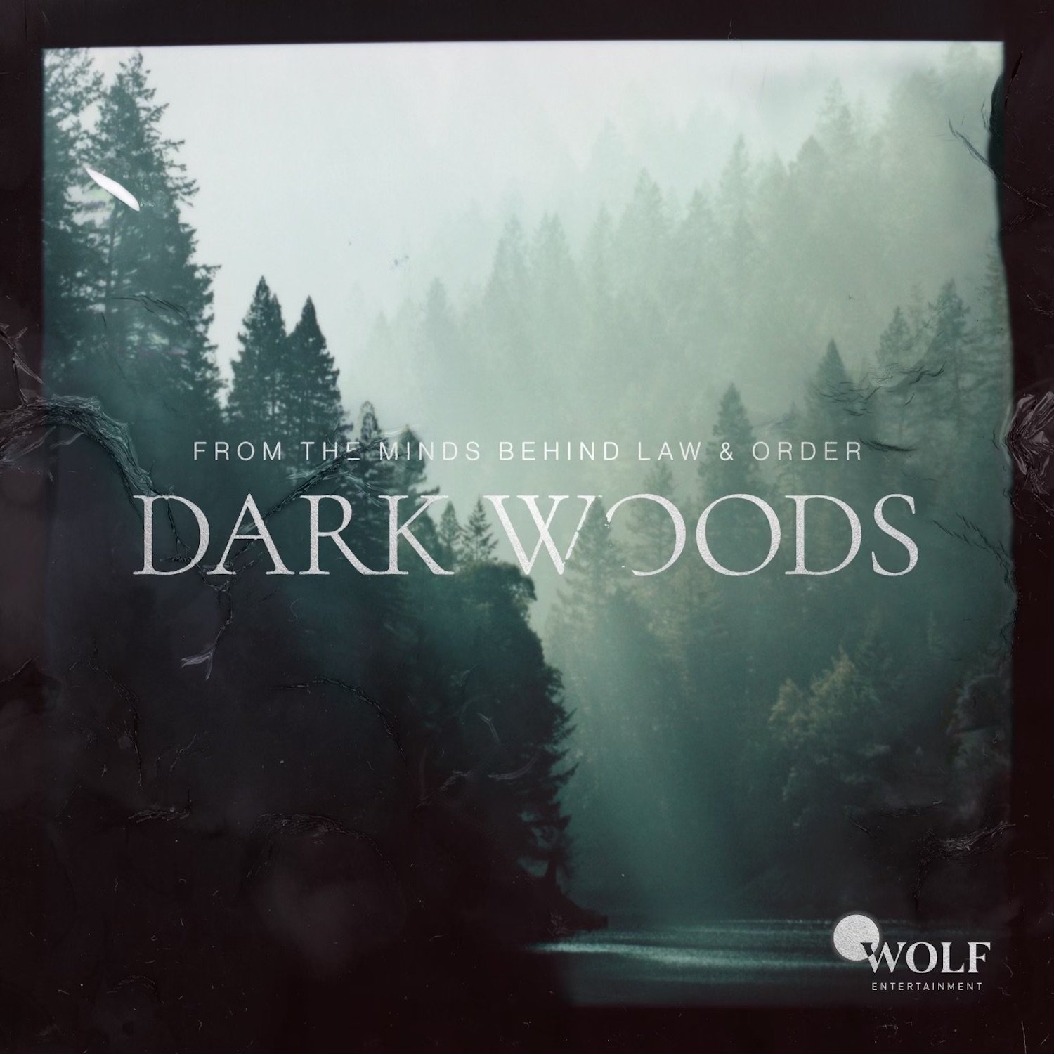 Dark Woods (Copy)