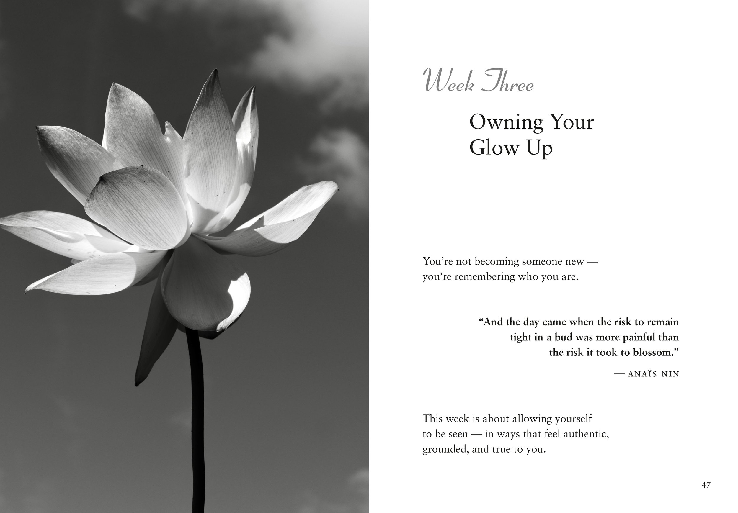 Pure Joy Wellness  |  Renata Joy