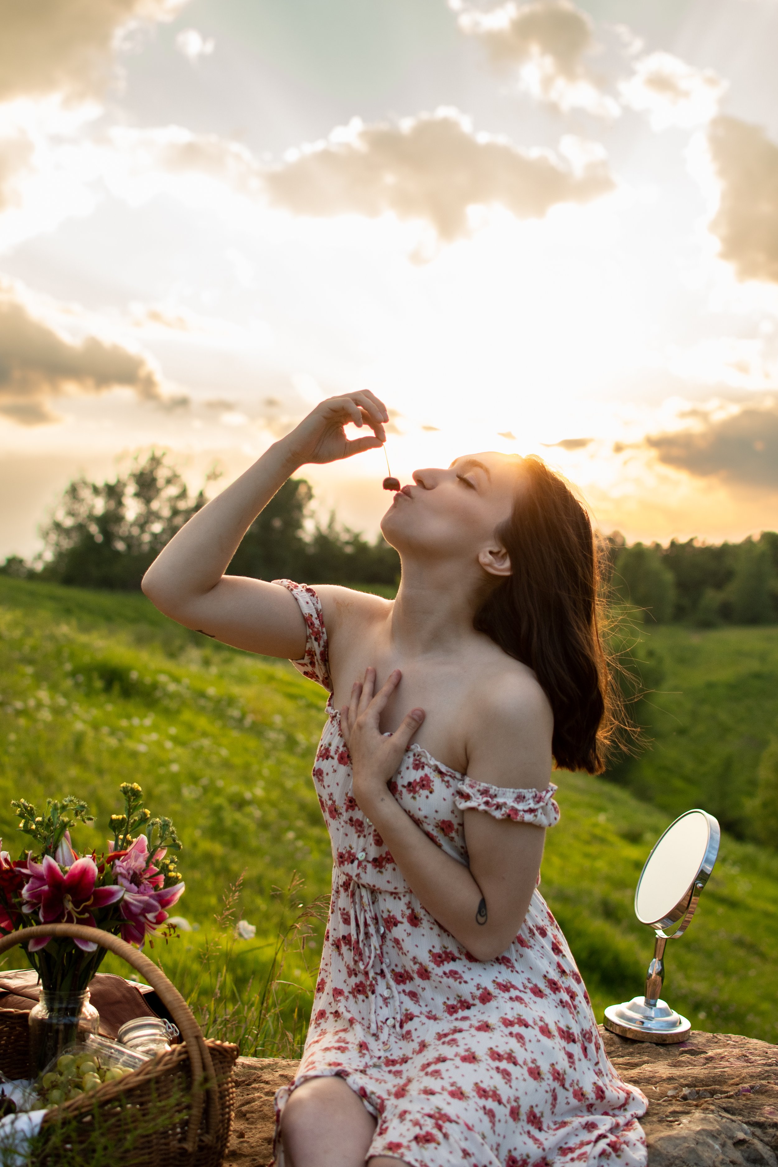 la crosse wi photographer summer picnic creative session