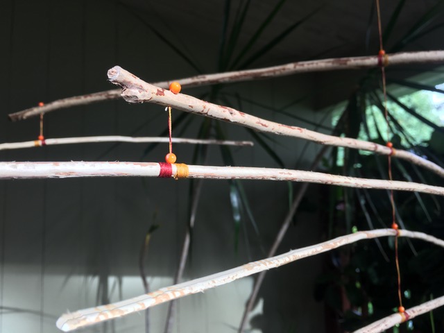 IMG_5641.jpeg