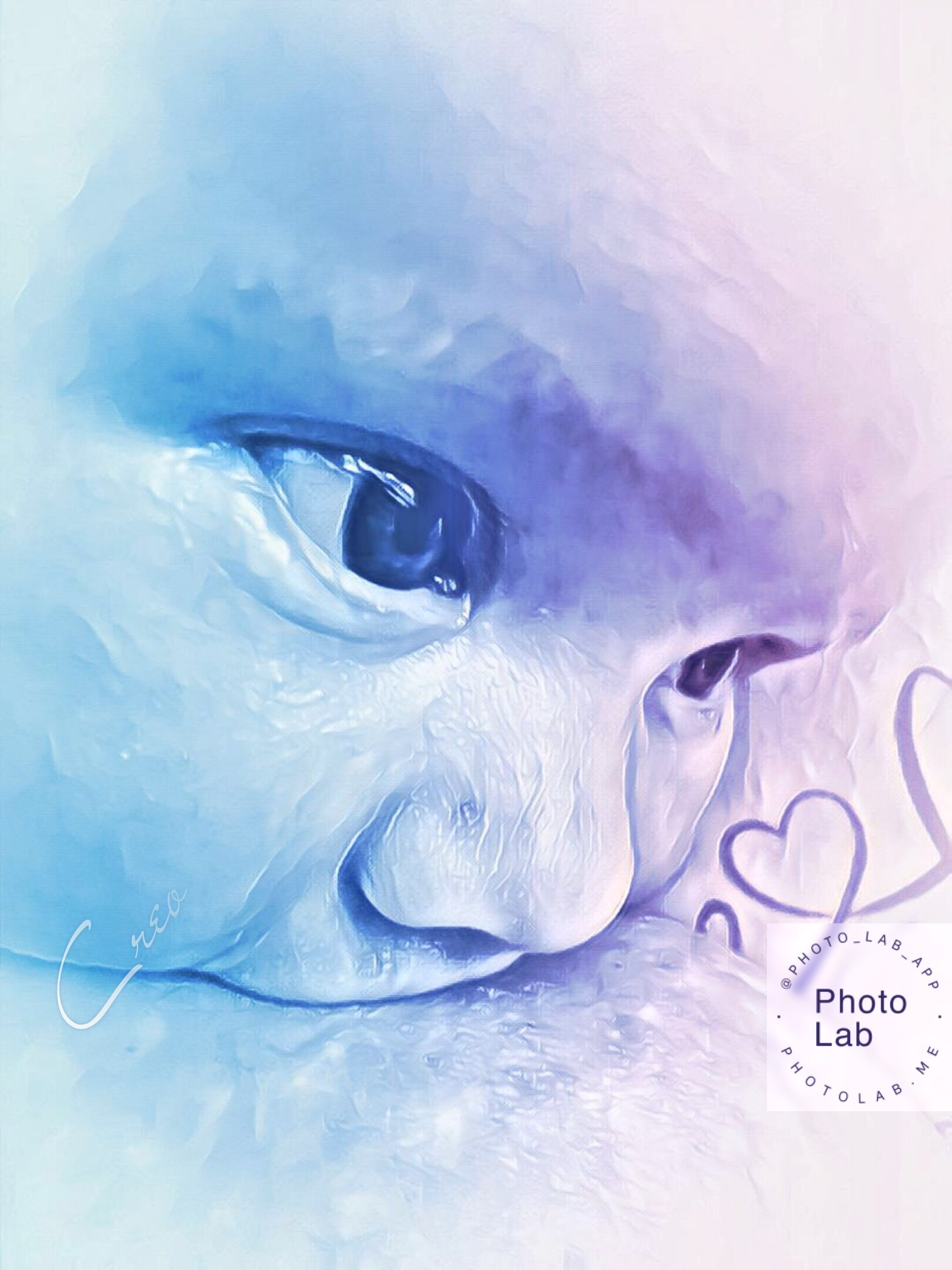 FREE Breastfeeding &amp; Postpartum Prep Courses