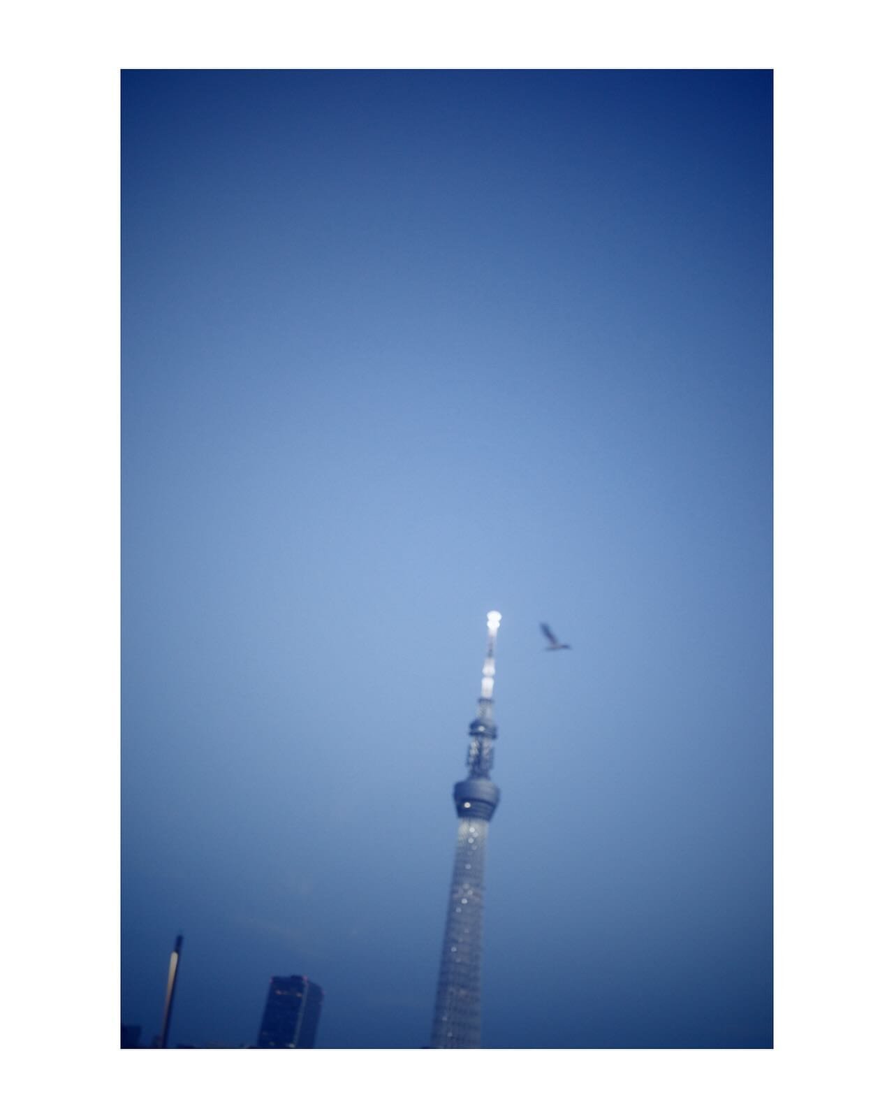 Crane over SkyTree ▫️

#grsnaps 
#shootgr_tokyo 
#ricohgr3 #ricohgrⅲ 
#streetphotography 
#streetphotographer 
#streetphotographers 
#ricohgr #ricoh_gr_women 
#gr_meet_japan
#voidtokyo #everydayjapan 
#frametokyocollective 
#everybodystreet 
#womenin
