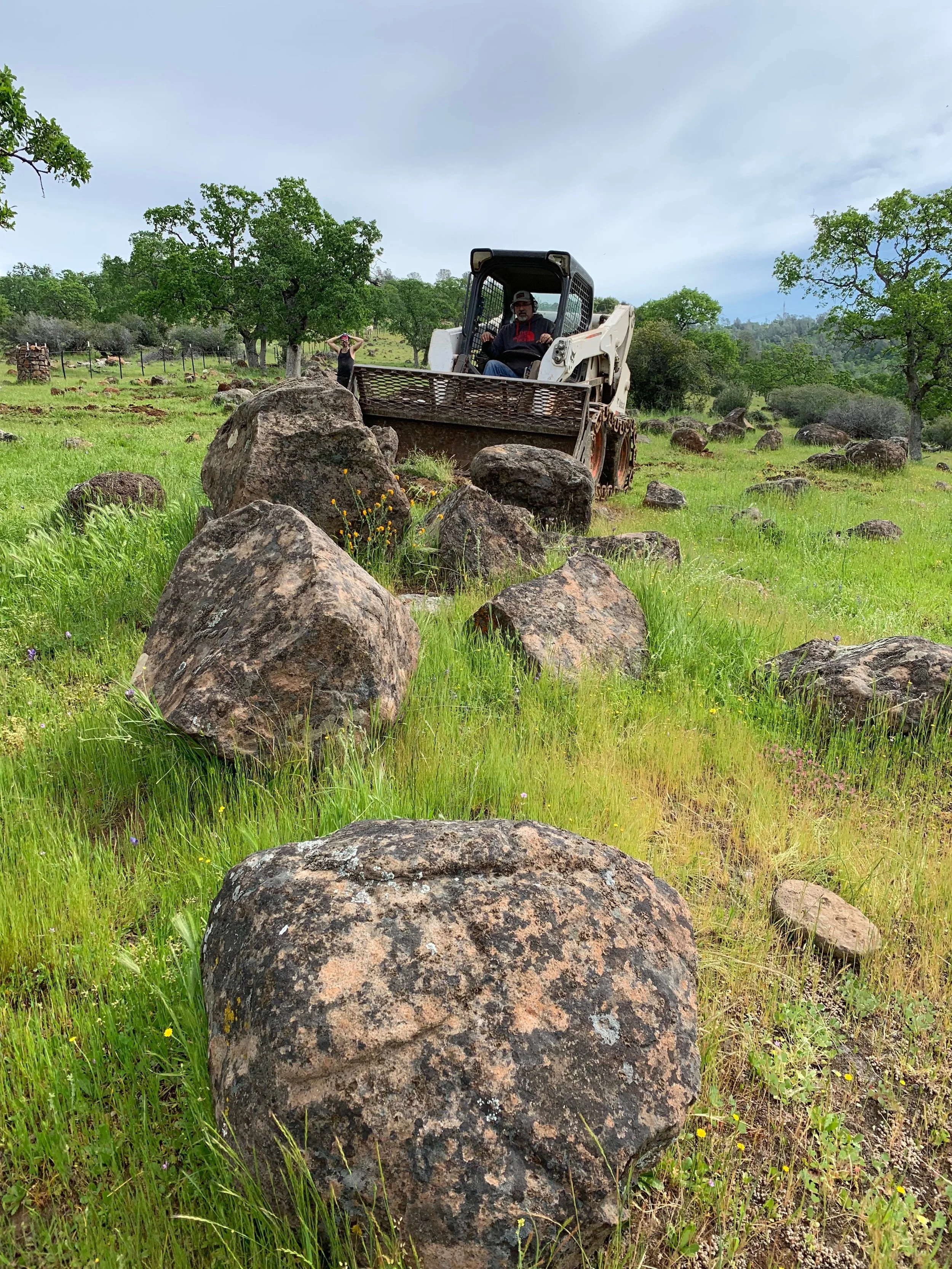 Rock Photo 9 plus bobcat.JPG