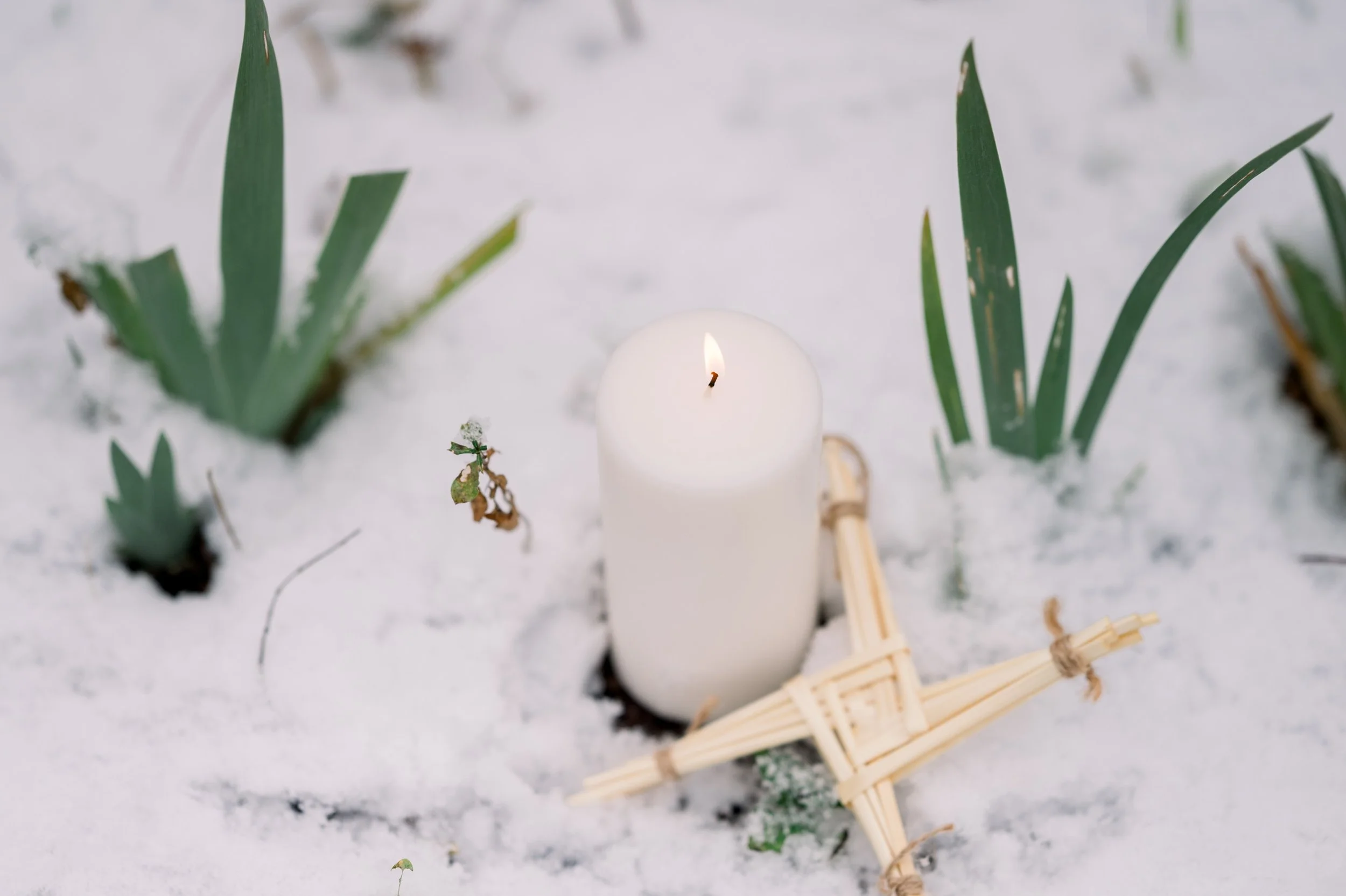 Celebrate Imbolc with me
