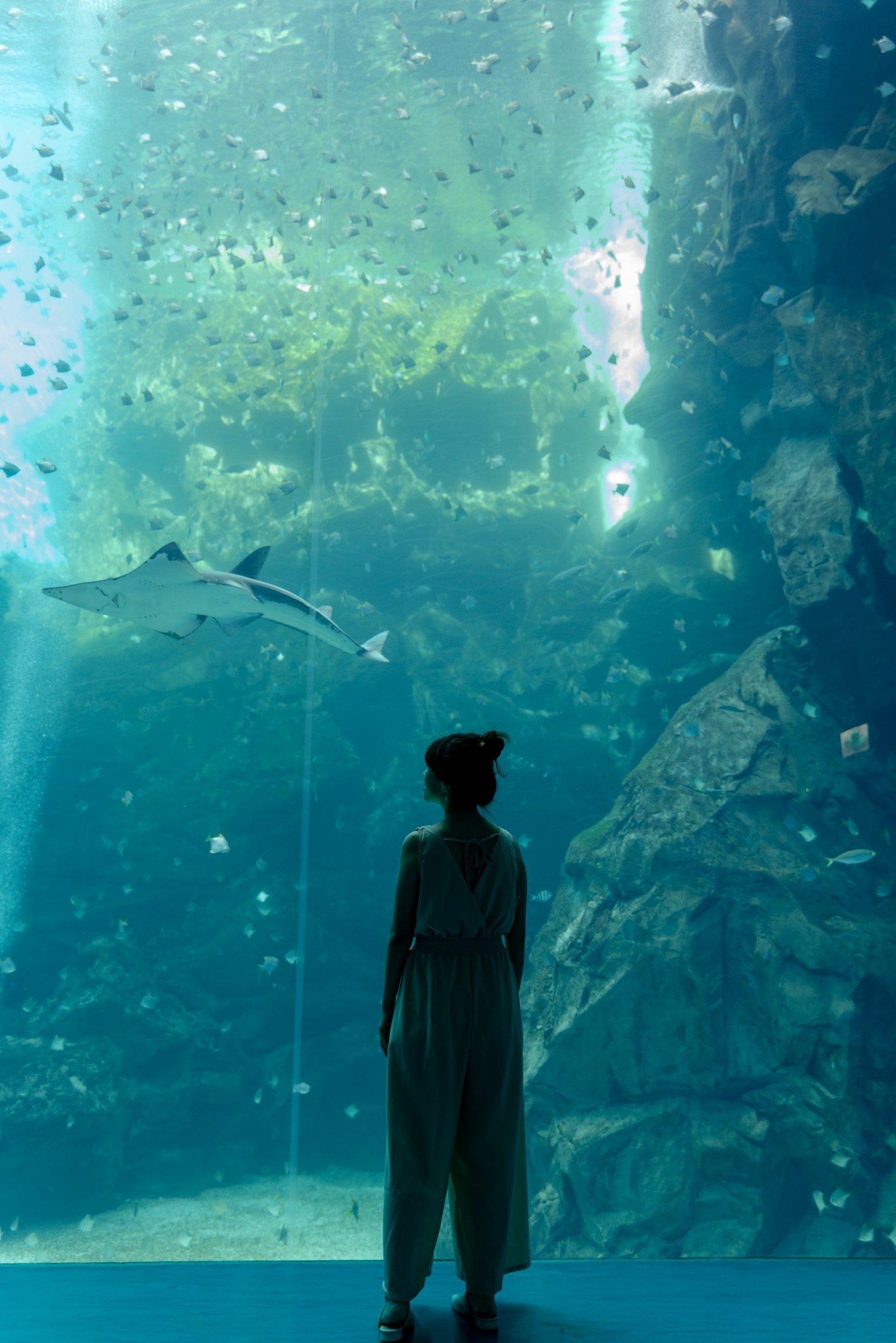 A woman stands in front of a floor to ceiling aquarium, looking at a shark