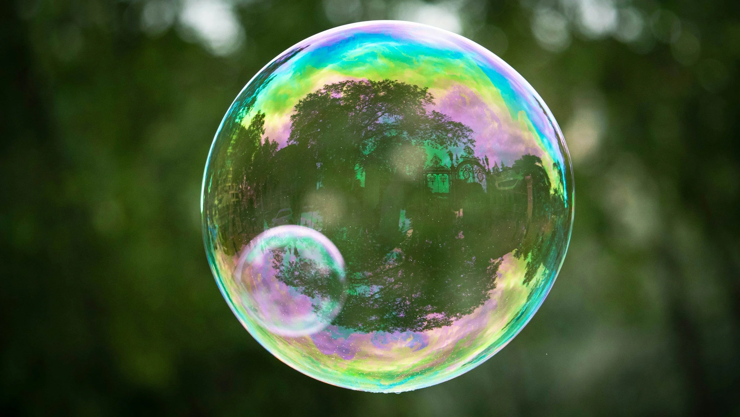 a small soap bubble trapped inside a larger soap bubble, with green bushes in the background