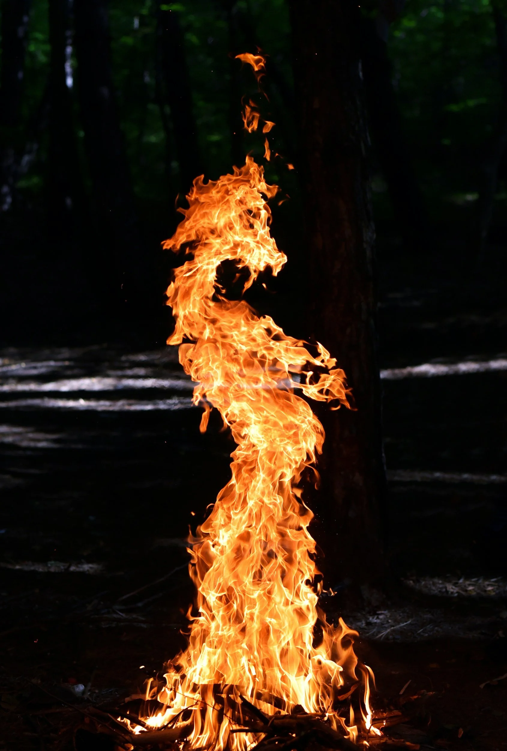 An outdoor bonfire creates a narrow column of flame that resembles a dragon