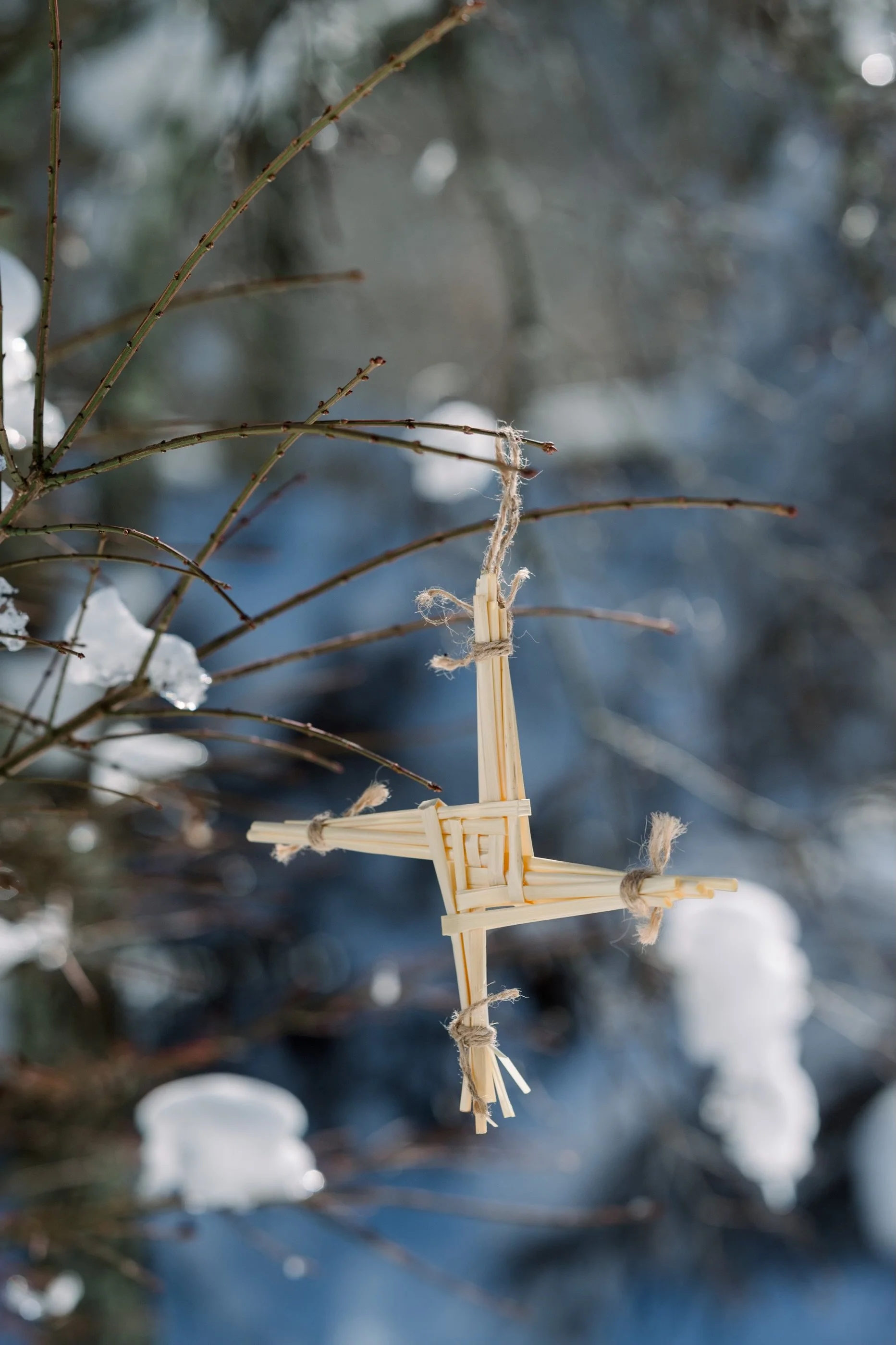 A St Brigid's cross made of reeds hangs on a snow-covered branch outside.