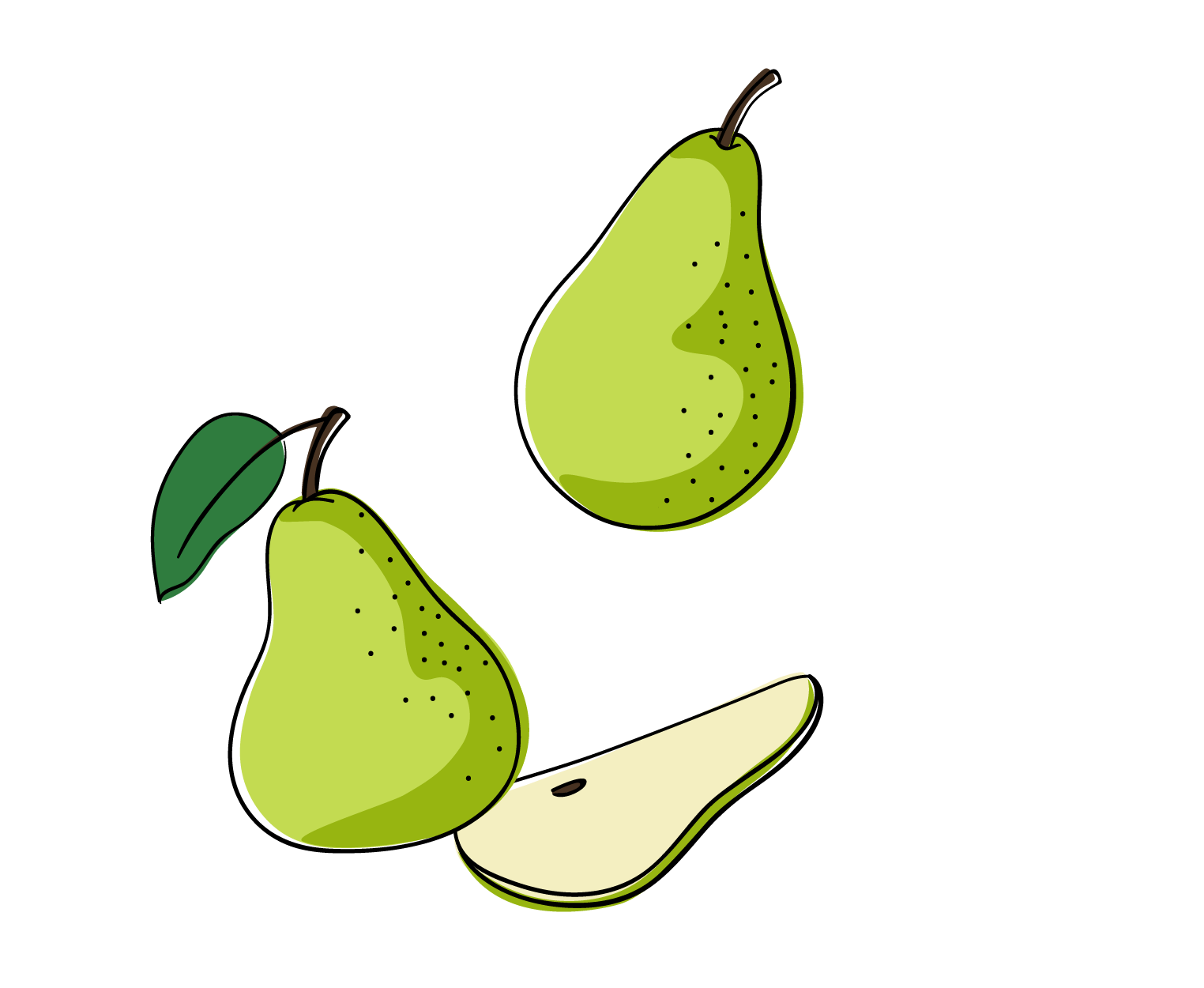 CafeFiore-SiteIllustrations2-06.png