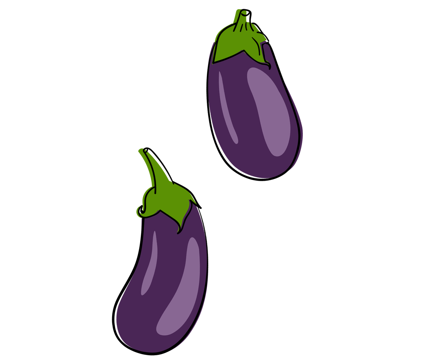 CafeFiore-SiteIllustrations-13.png