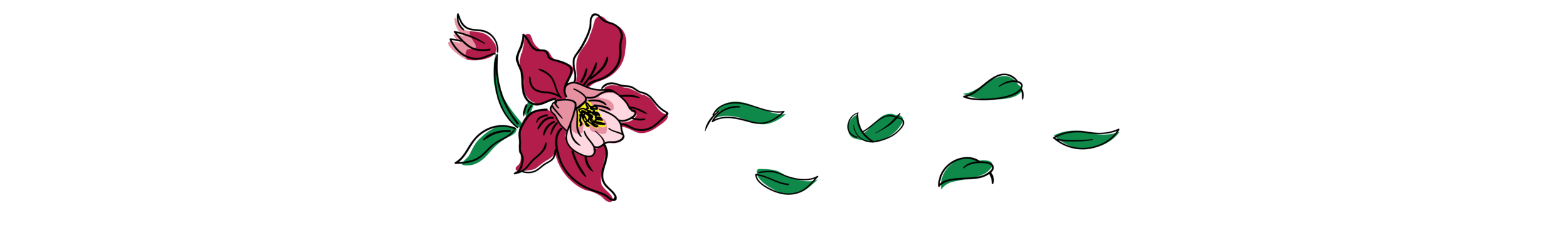 CafeFiore-SiteIllustrations-14.png