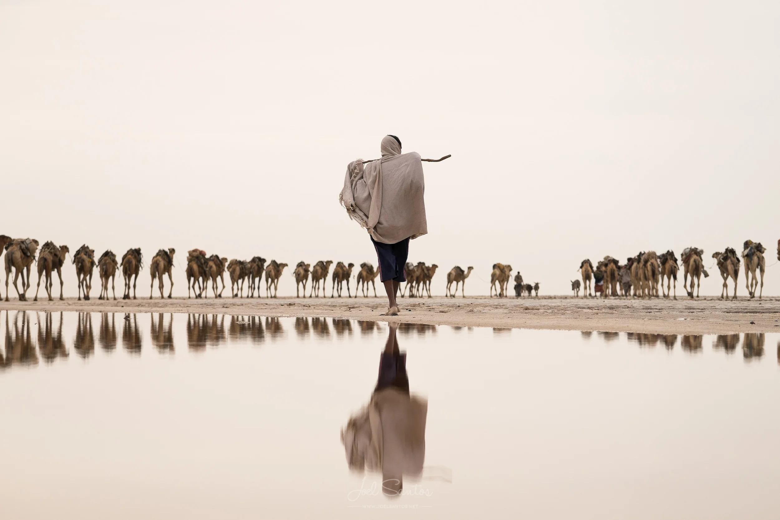 Salt Miner Caravan, Danakil Depression, Ethiopia_Banner.jpg