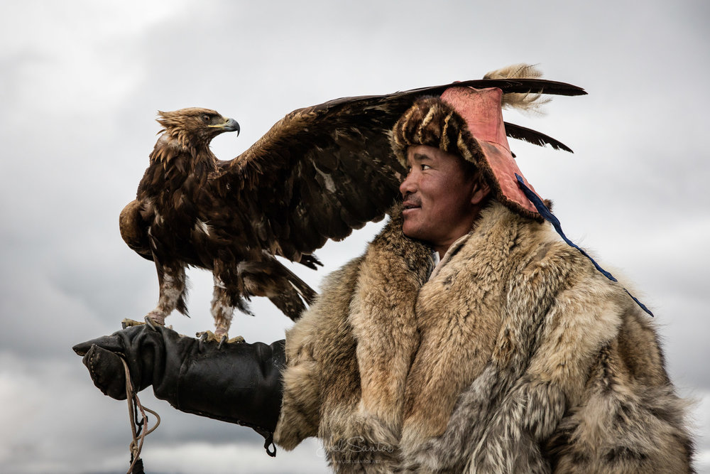 Shokhan, Eagle Hunter, Altai, Western Mongolia