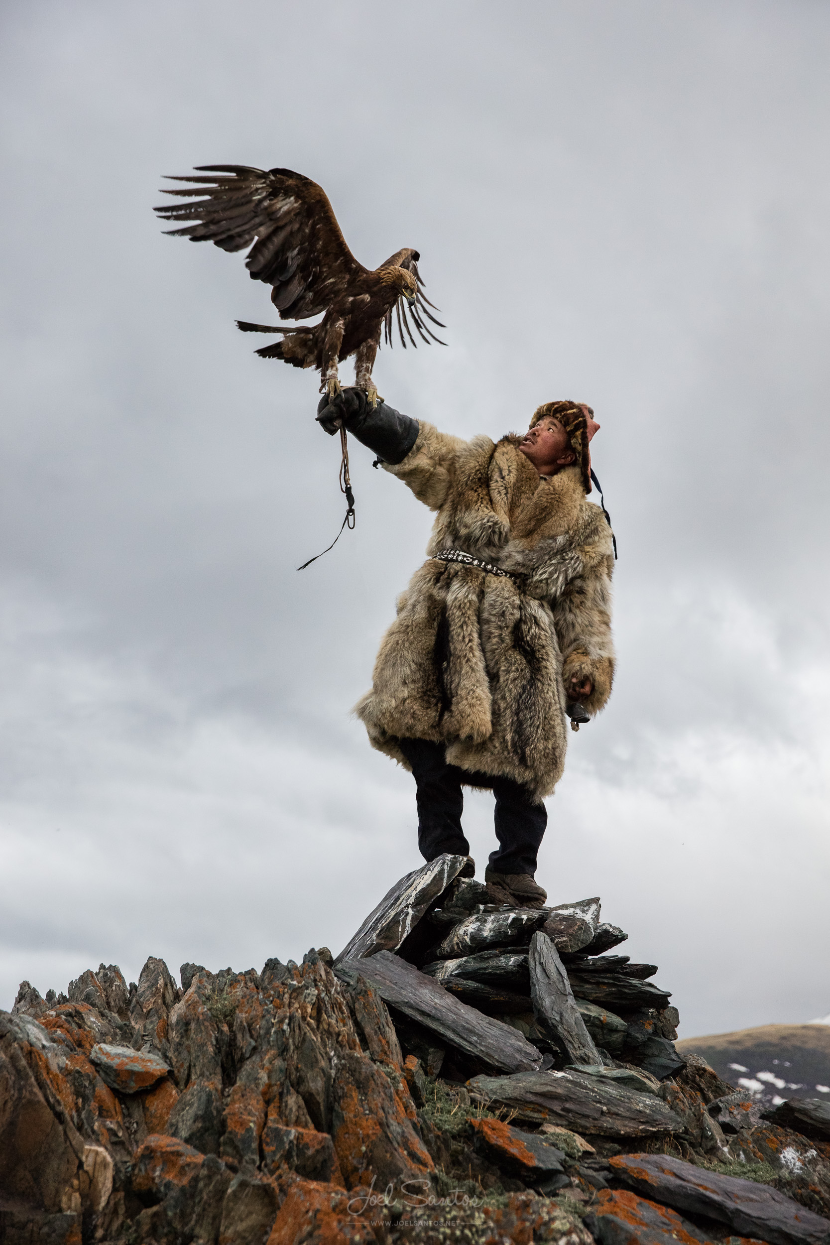 Shokhan, Eagle Hunter, Altai, Western Mongolia