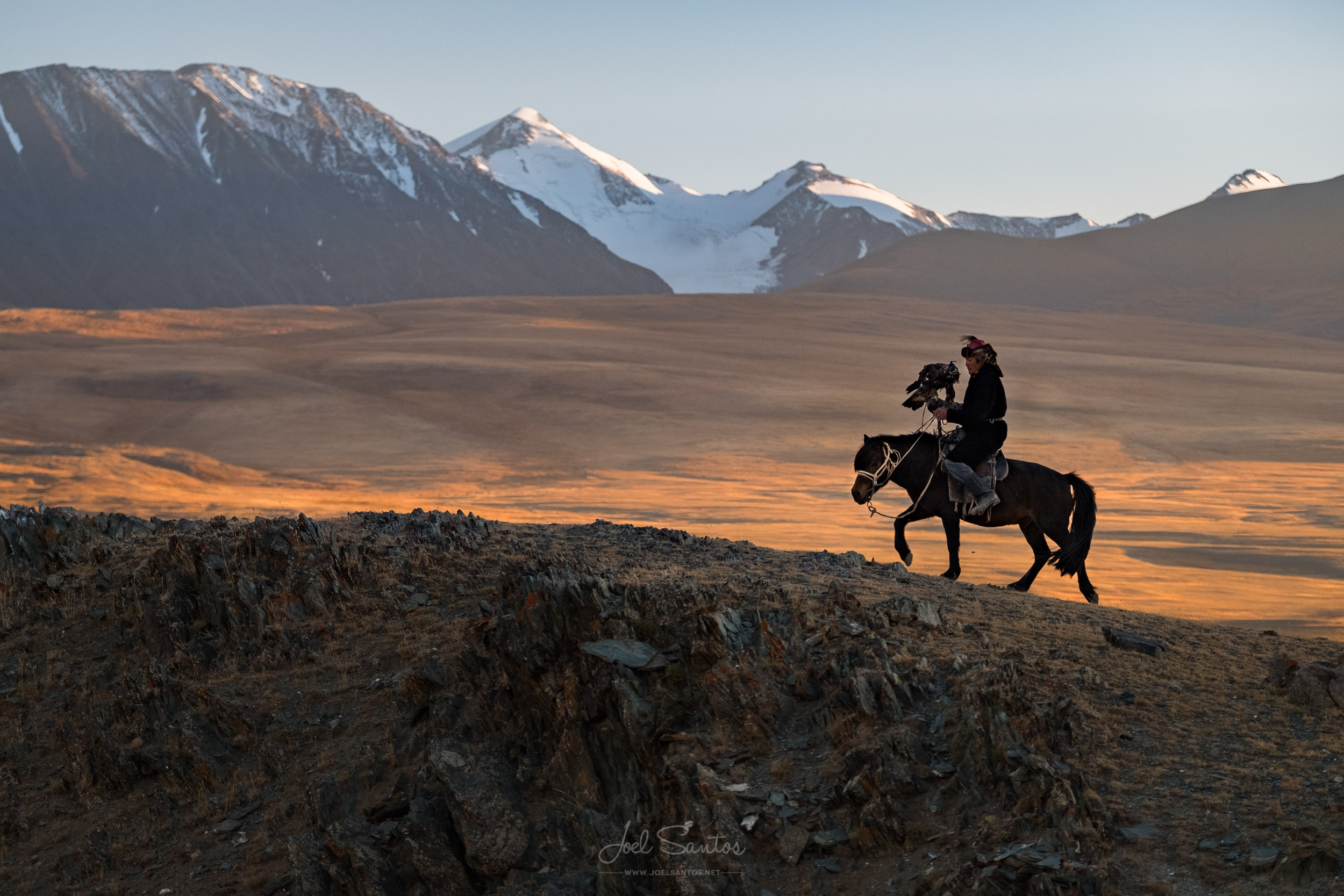 Eagle Hunter, Altai, Western Mongolia