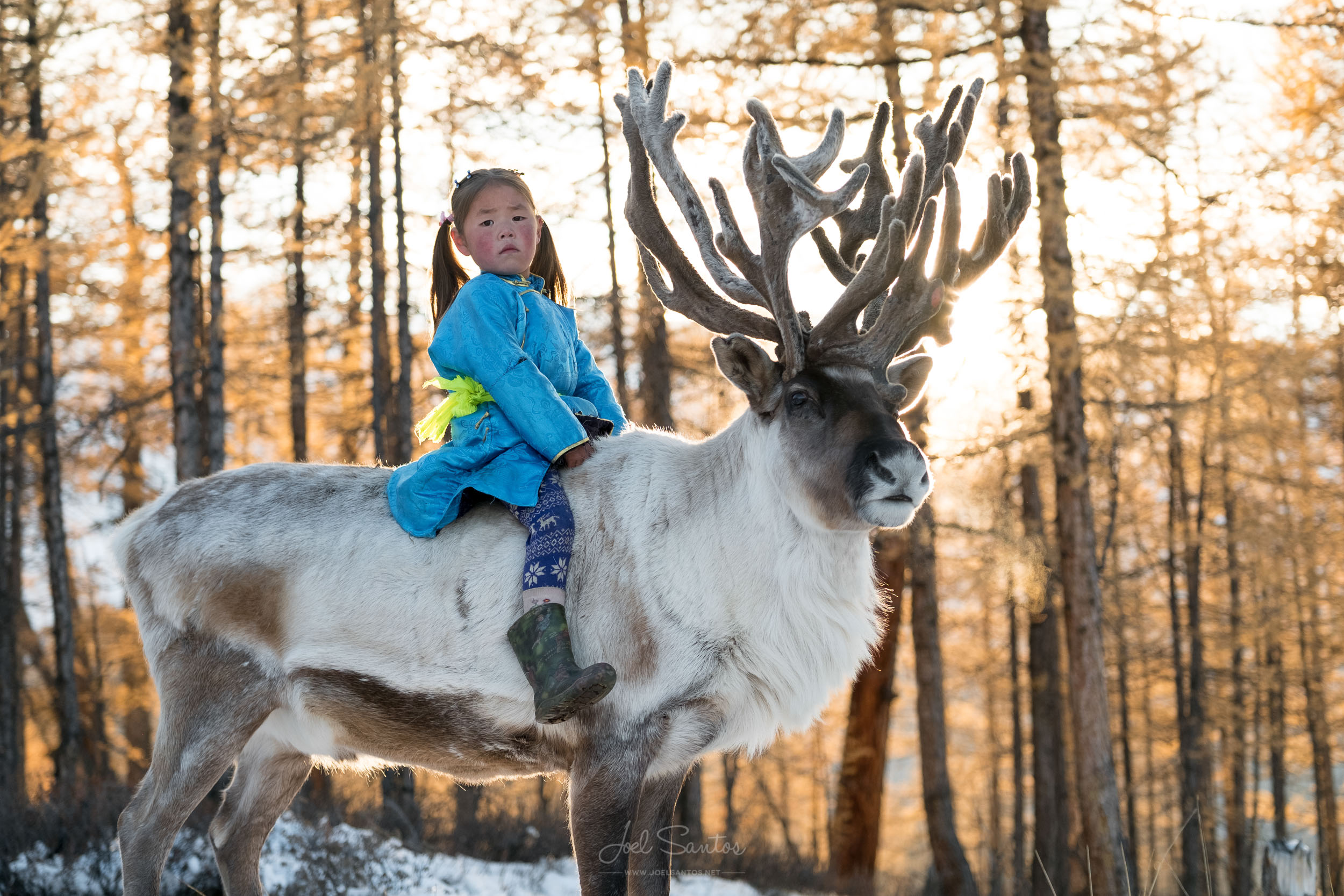 Tsaatan (Reindeer people), also Dukha, Dukhans or Duhalar,northe