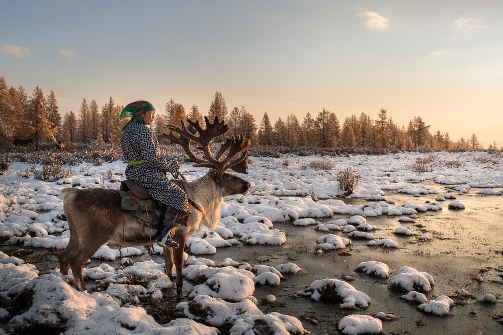 Tsaatan (Reindeer people), also Dukha, Dukhans or Duhalar,northe