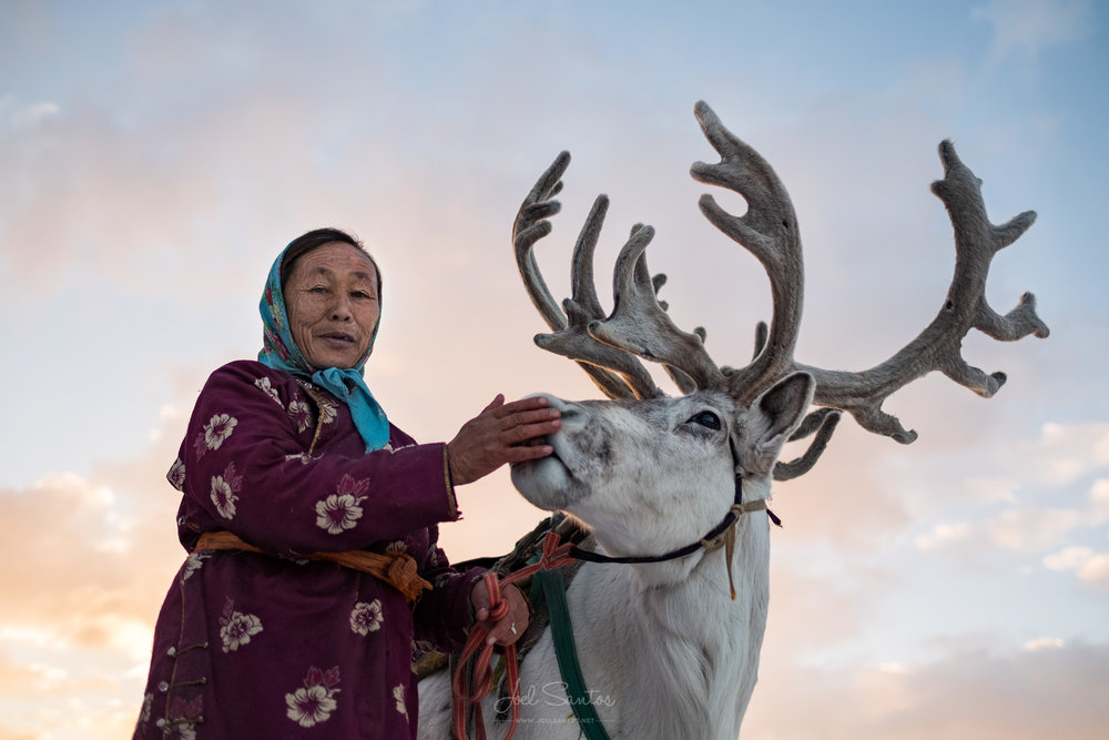 Tsaatan (Reindeer people), also Dukha, Dukhans or Duhalar,northe