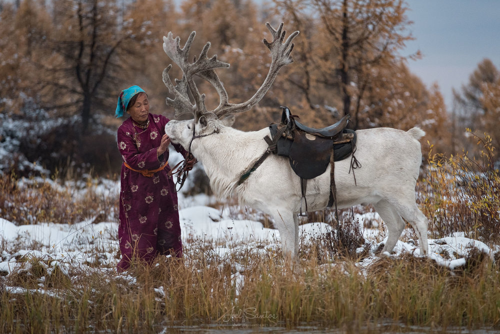 Tsaatan (Reindeer people), also Dukha, Dukhans or Duhalar,northe