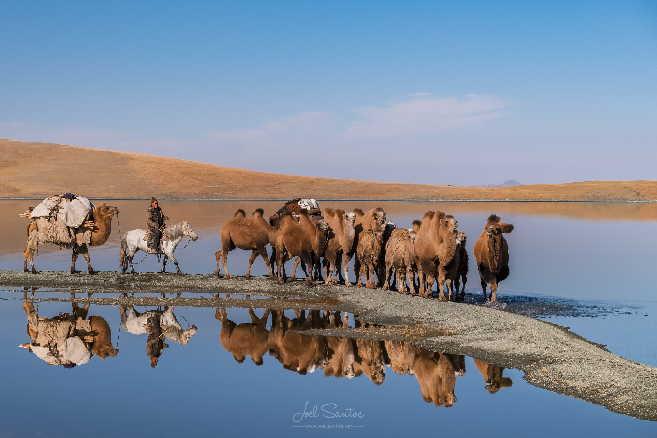 Eagle Hunters, The Tsaatan and Nomad Migration (Mongolia) — Joel Santos ...