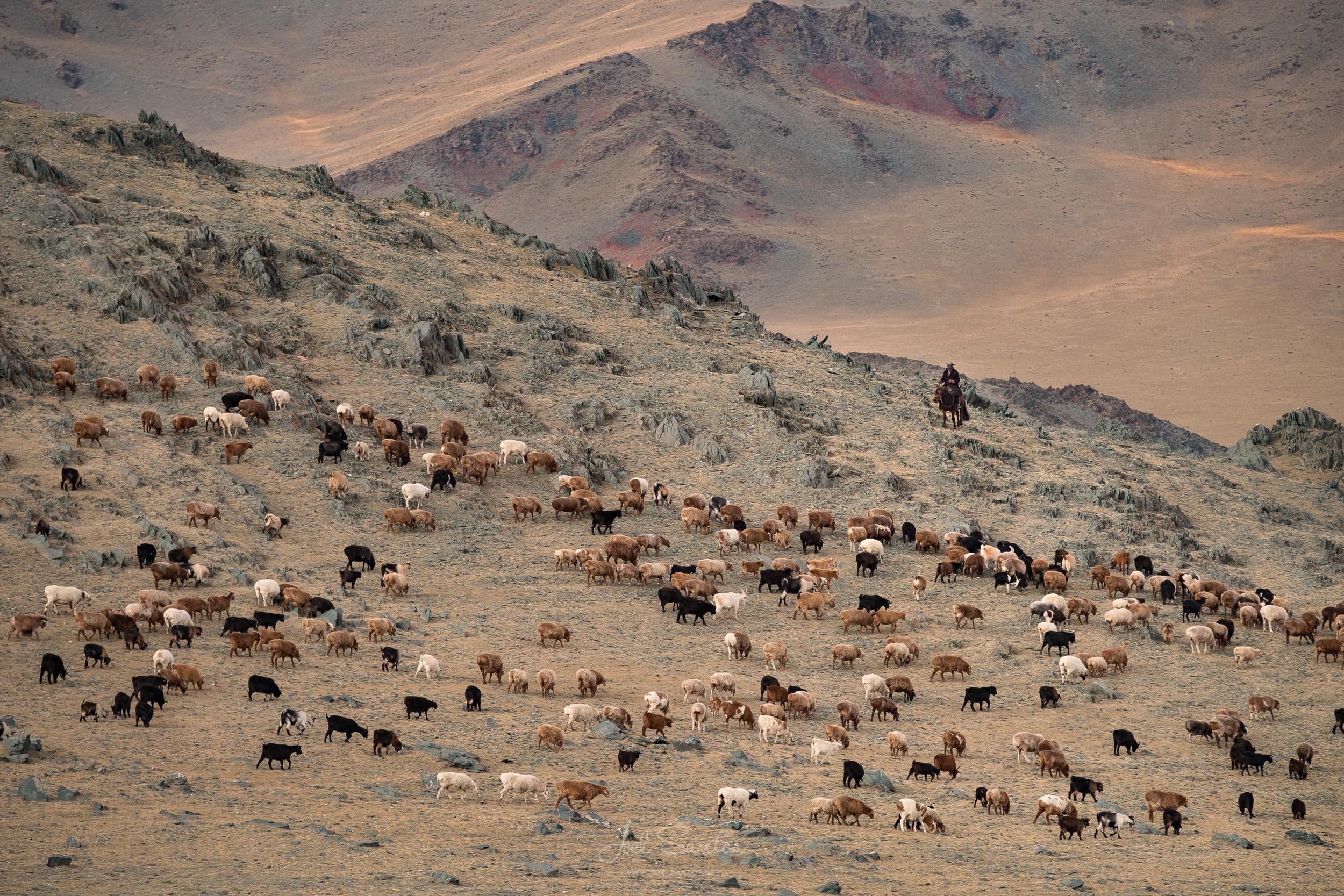 Kazakh nomad summer/spring migration (2015 and 2016 documentary)