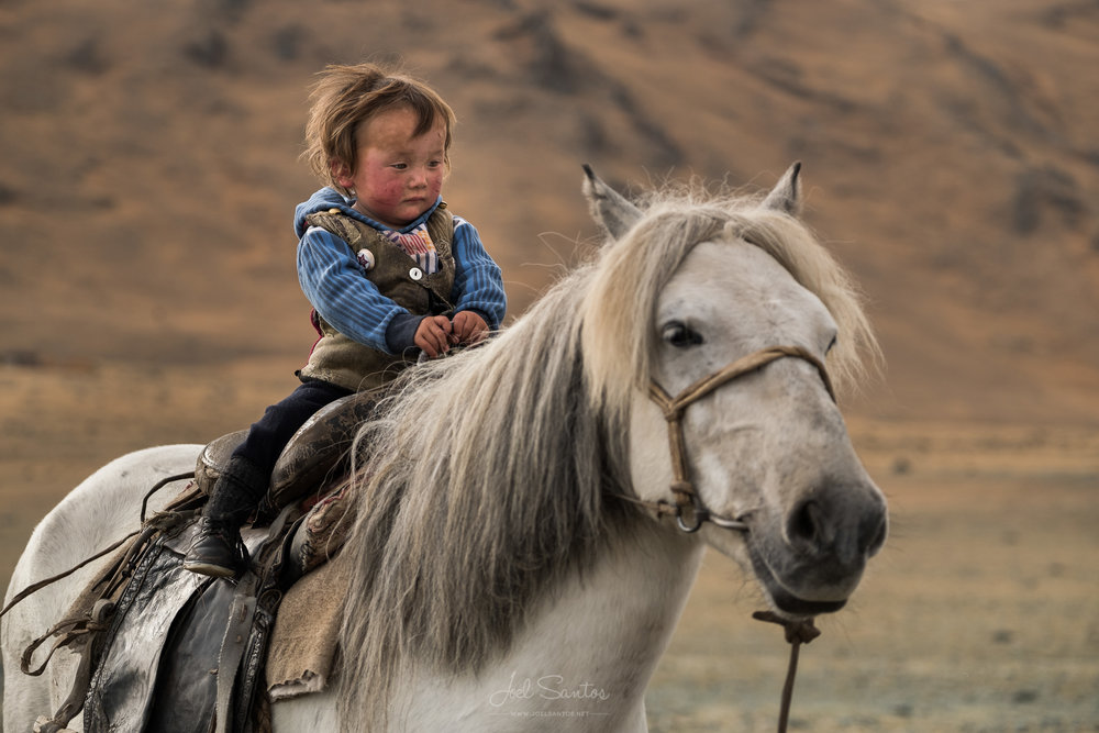 Kazakh nomad summer/spring migration (2015 and 2016 documentary)