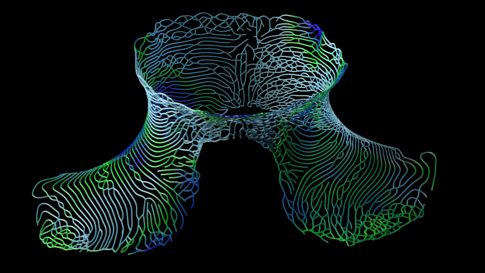 Differential Line - Collar.jpg