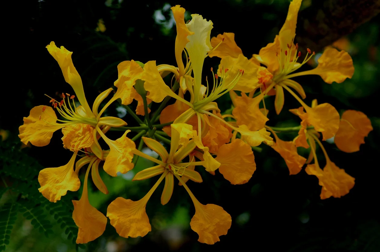 iStock-92073914.jpg