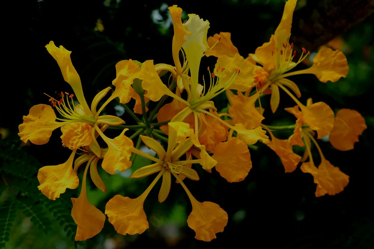 iStock-92073914.jpg
