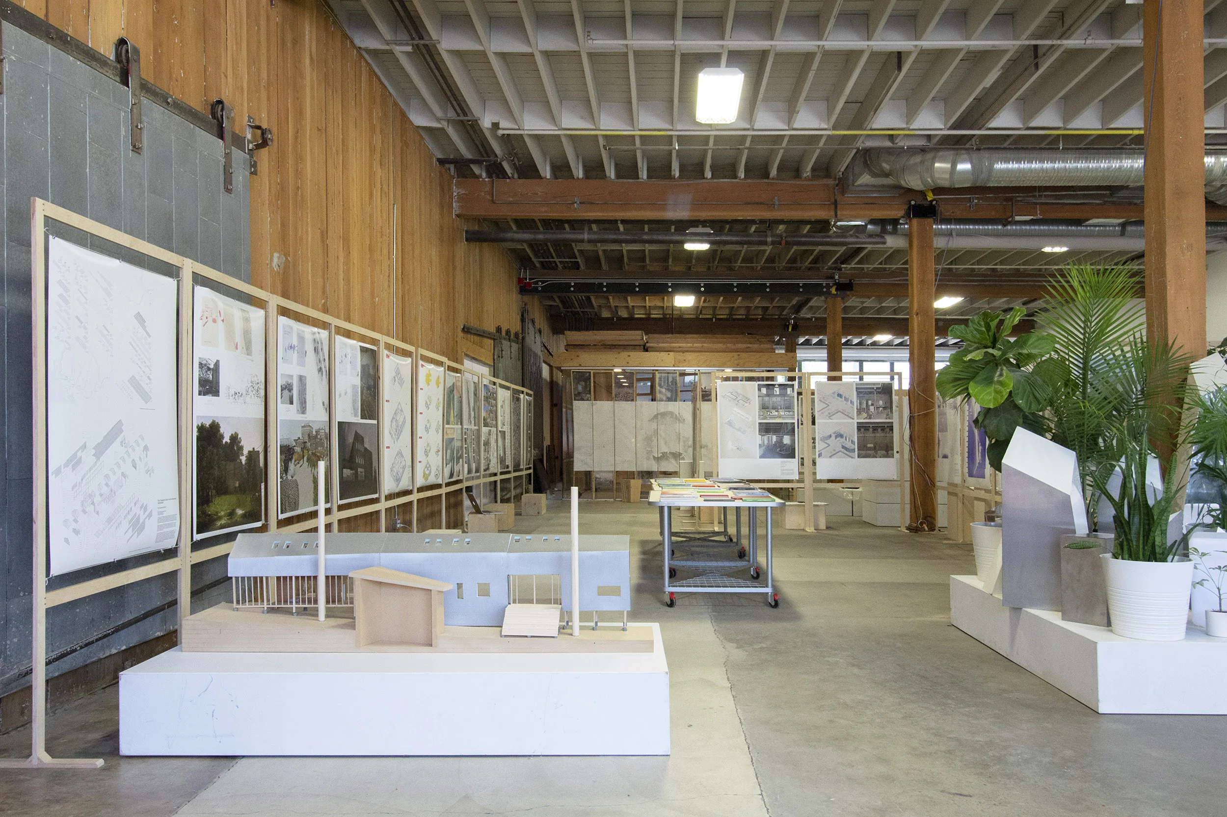 Wide View 2a Squarespace.jpg