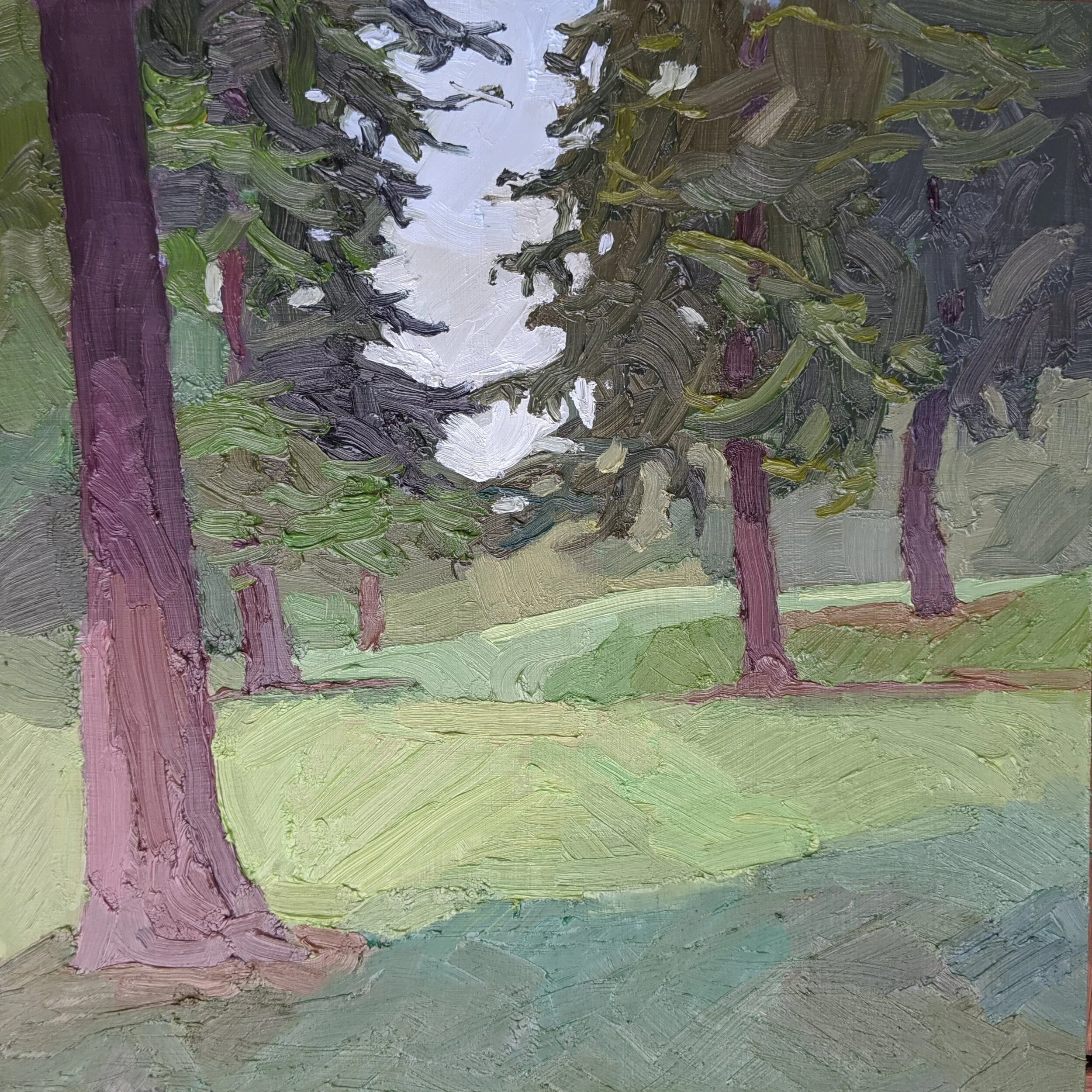 Salmon Bay II